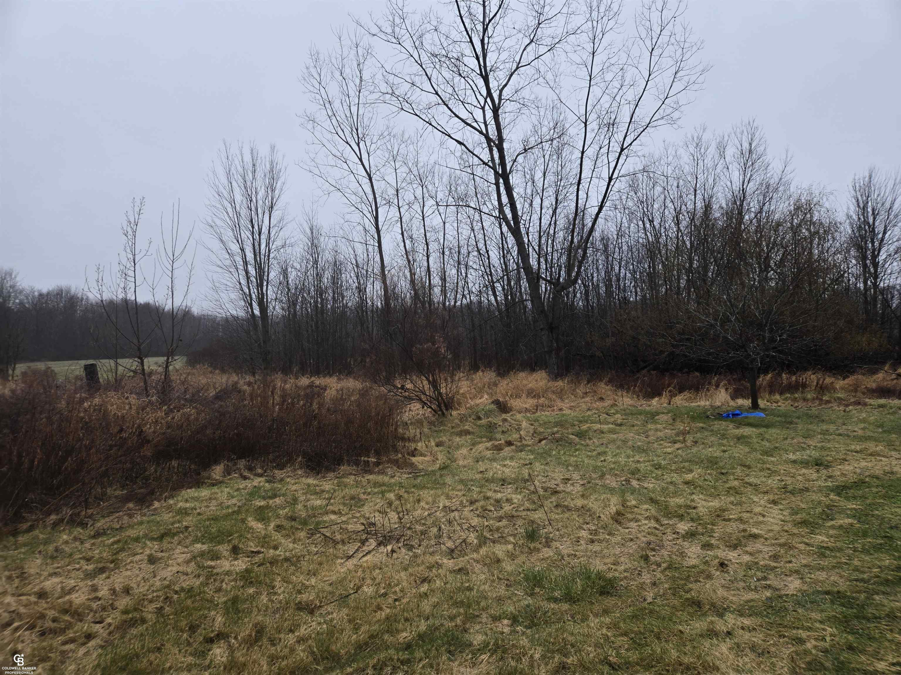 1815 Riley Center Road, MI — Photo 21