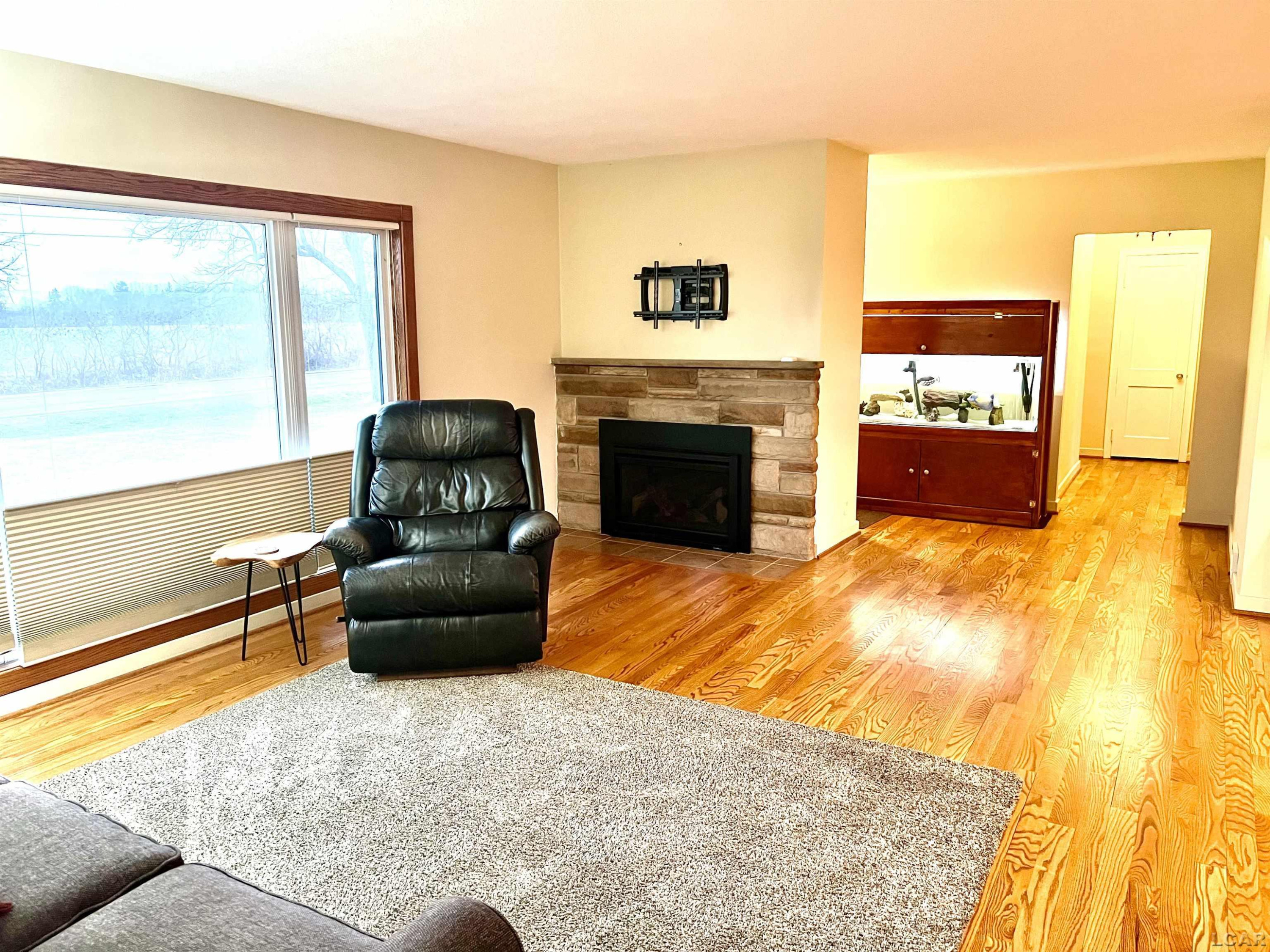 3680 Pleasant Lake, MI 48103 — Photo 2