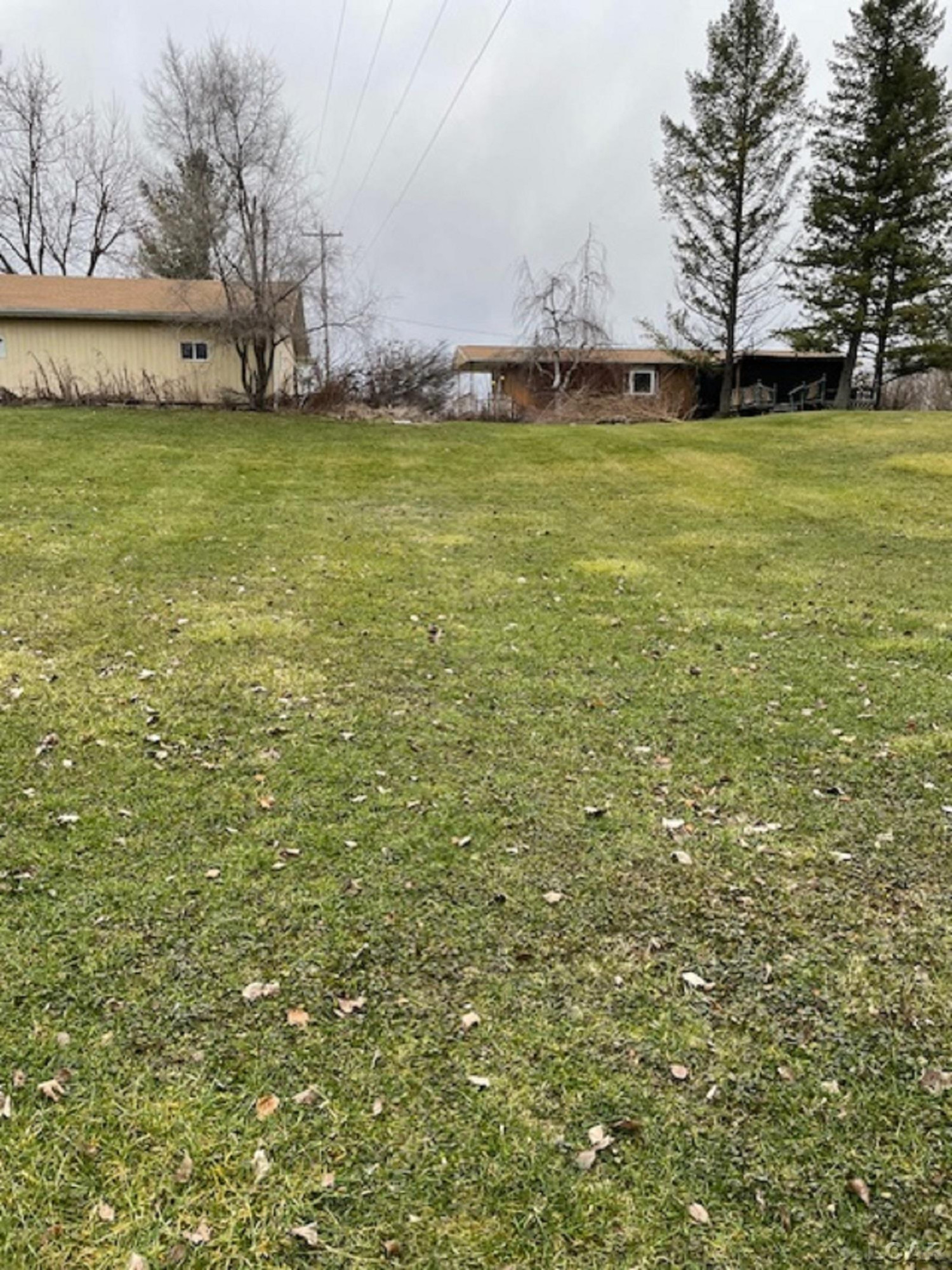 9901 Shepherd, Onsted, MI 49265 — Photo 2