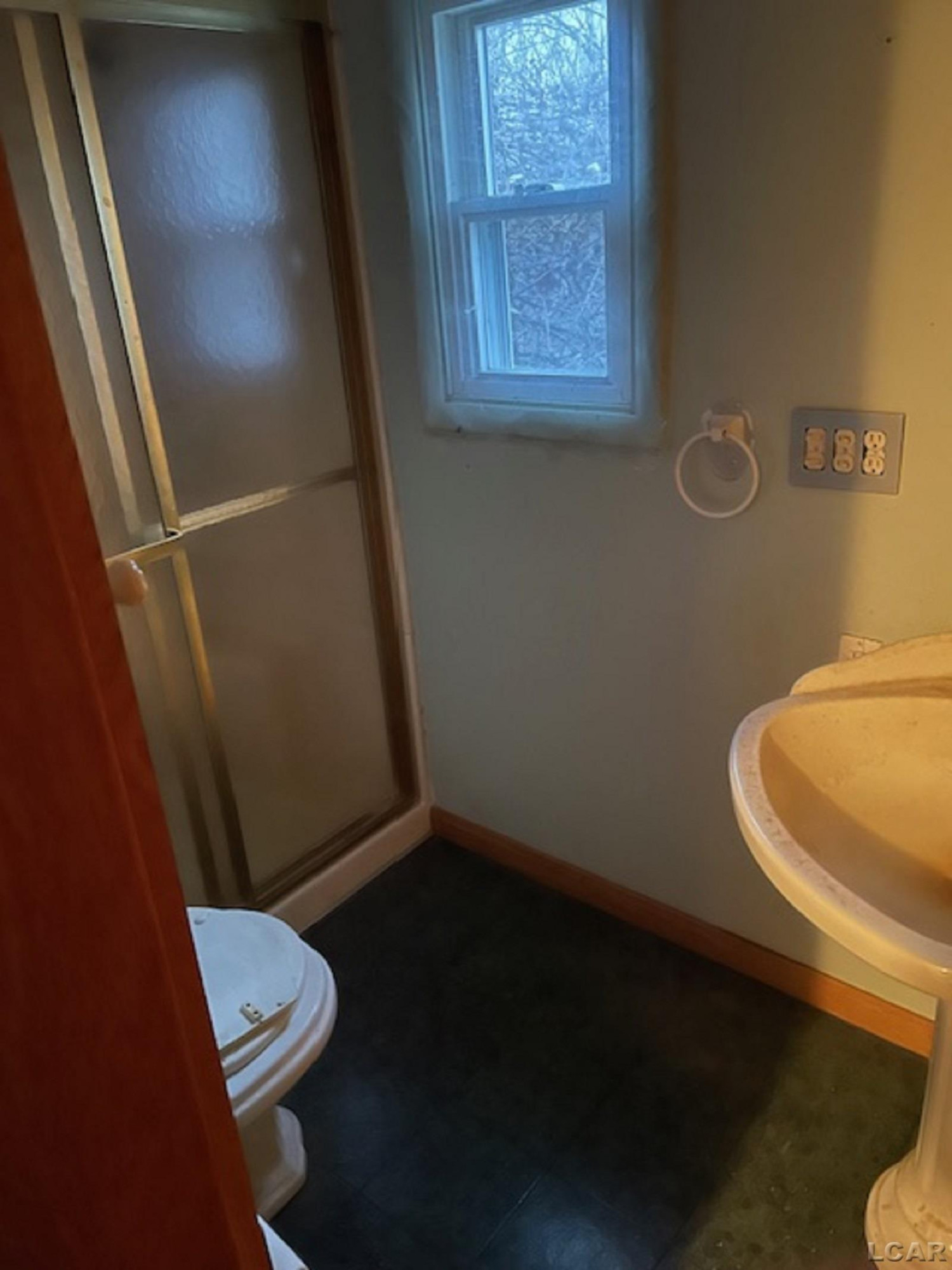 9901 Shepherd, Onsted, MI 49265 — Photo 13