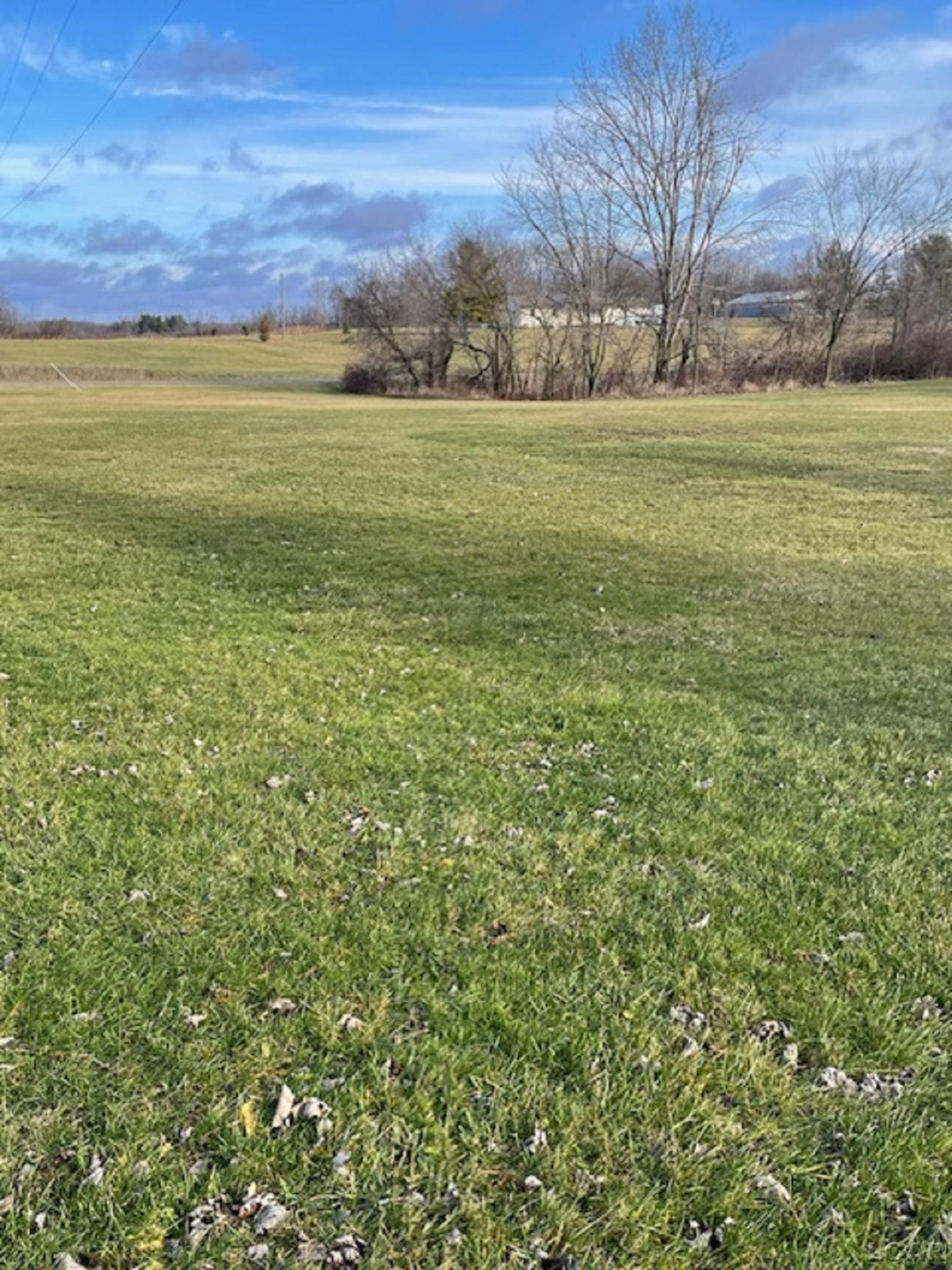 9901 Shepherd, Onsted, MI 49265 — Photo 23