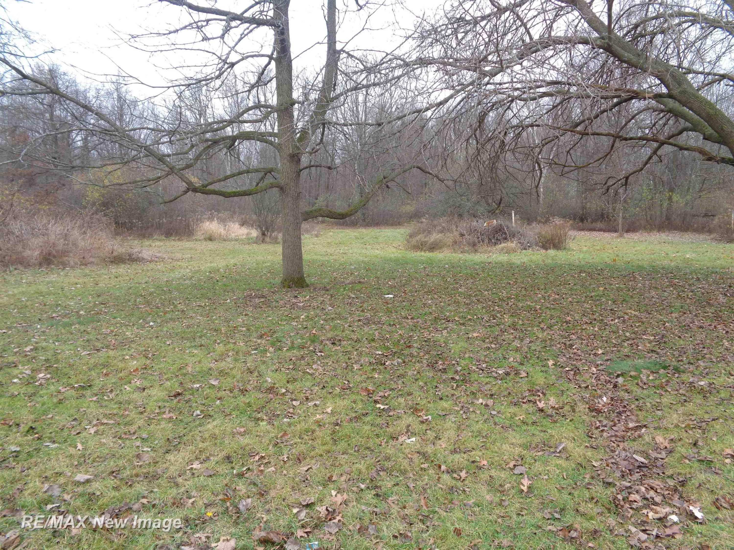 4790 E Rathbun Road, Birch Run, MI 48415 — Photo 21