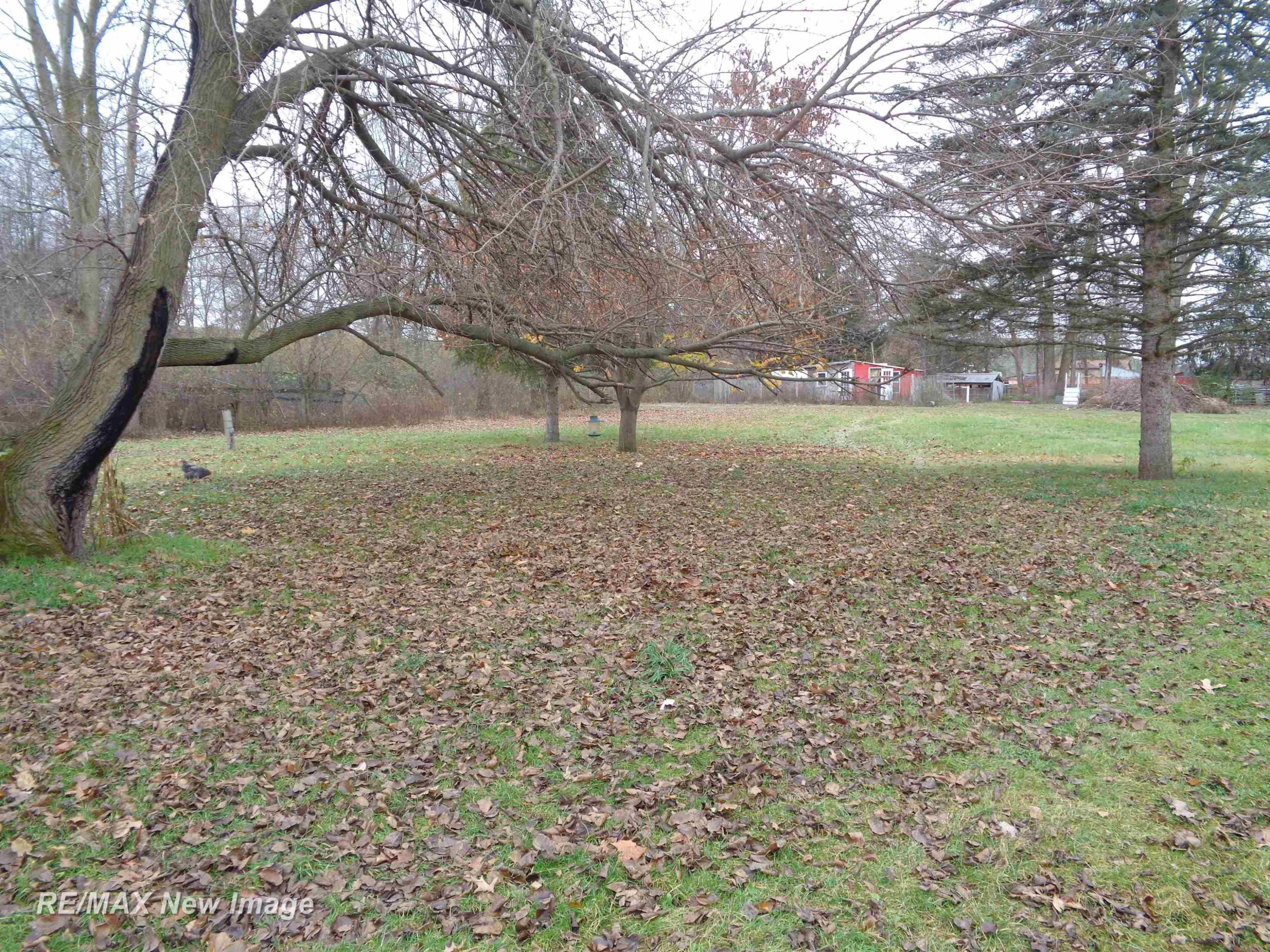 4790 E Rathbun Road, Birch Run, MI 48415 — Photo 22