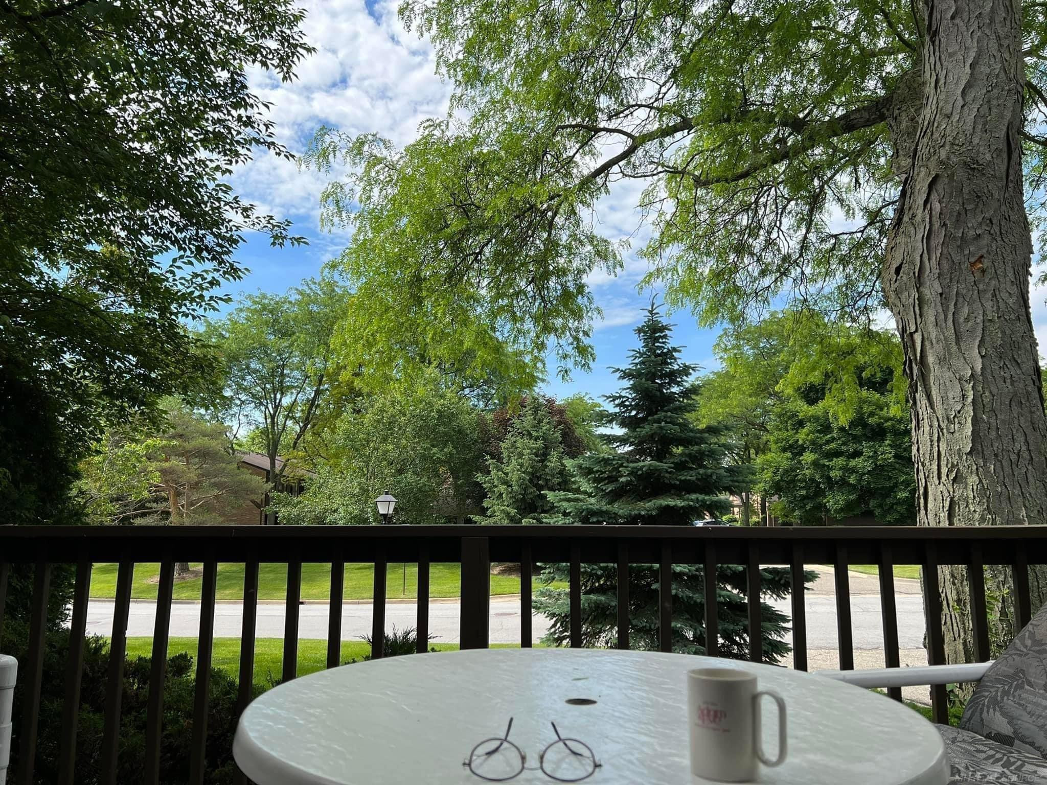 1002 Greenhills Drive, Ann Arbor, MI 48105 — Photo 11