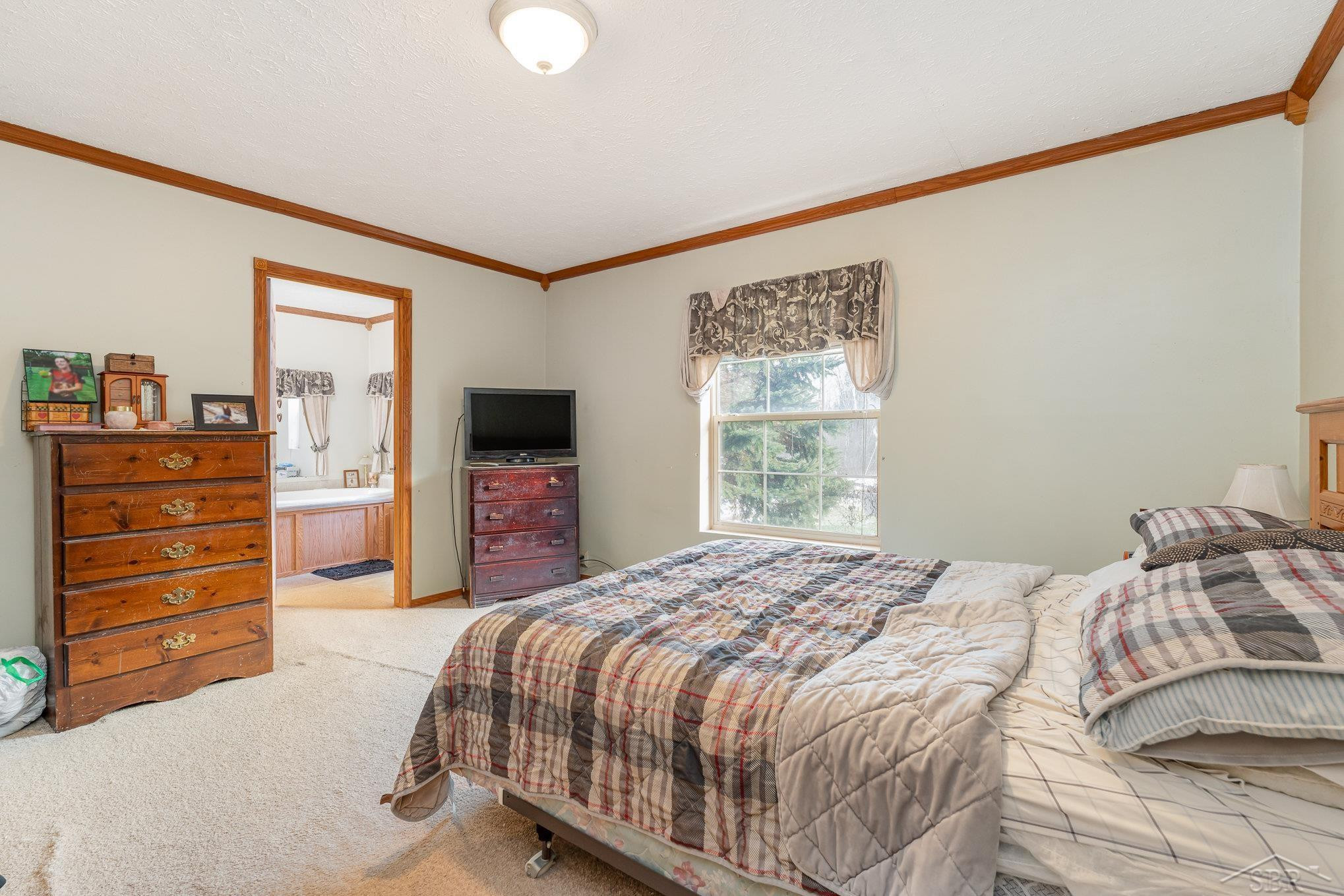 2492 S Towerline Road, Whittemore, MI 48770 — Photo 21