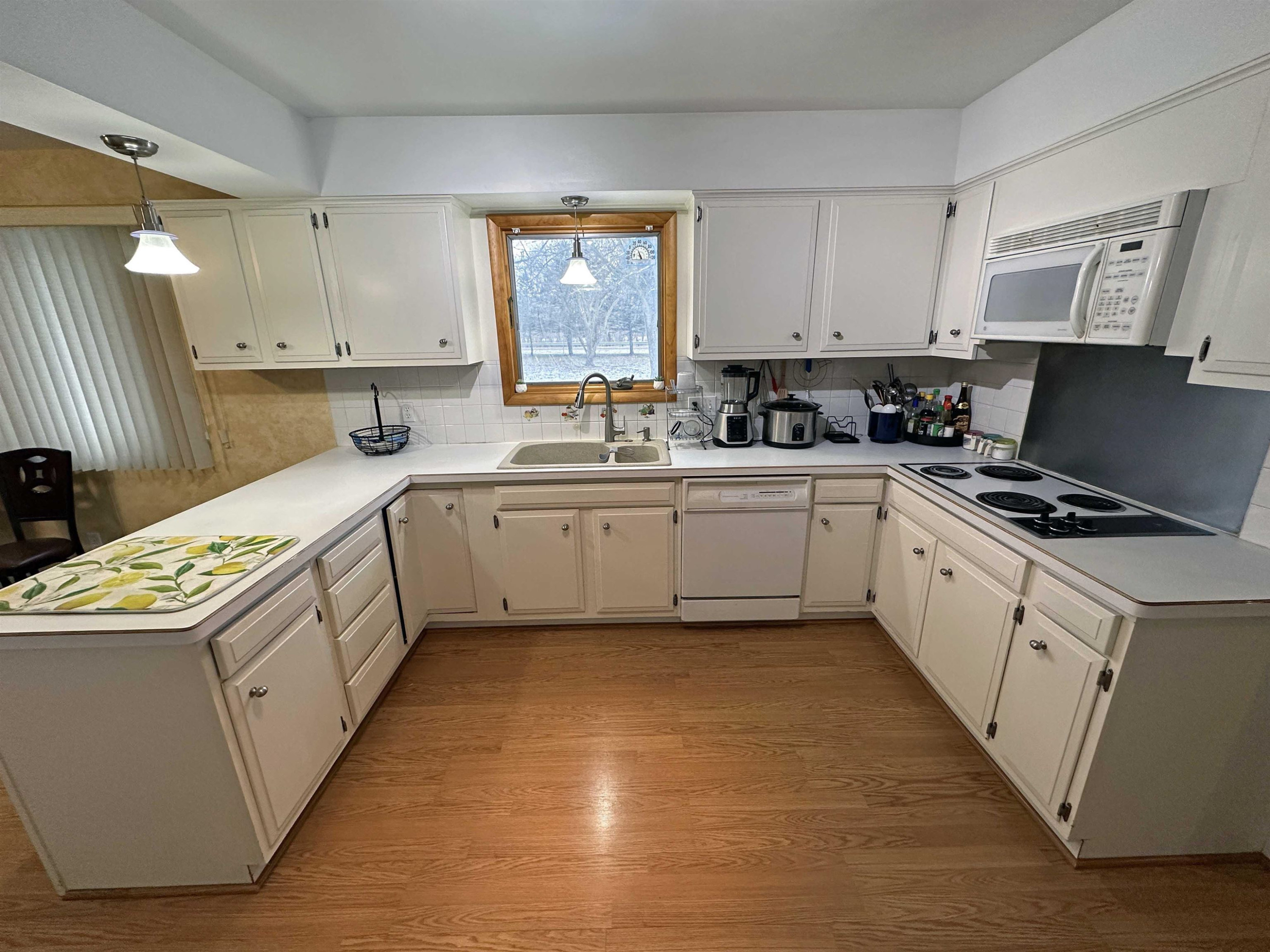 509 Andres Street, Chesaning, MI 48616 — Photo 14