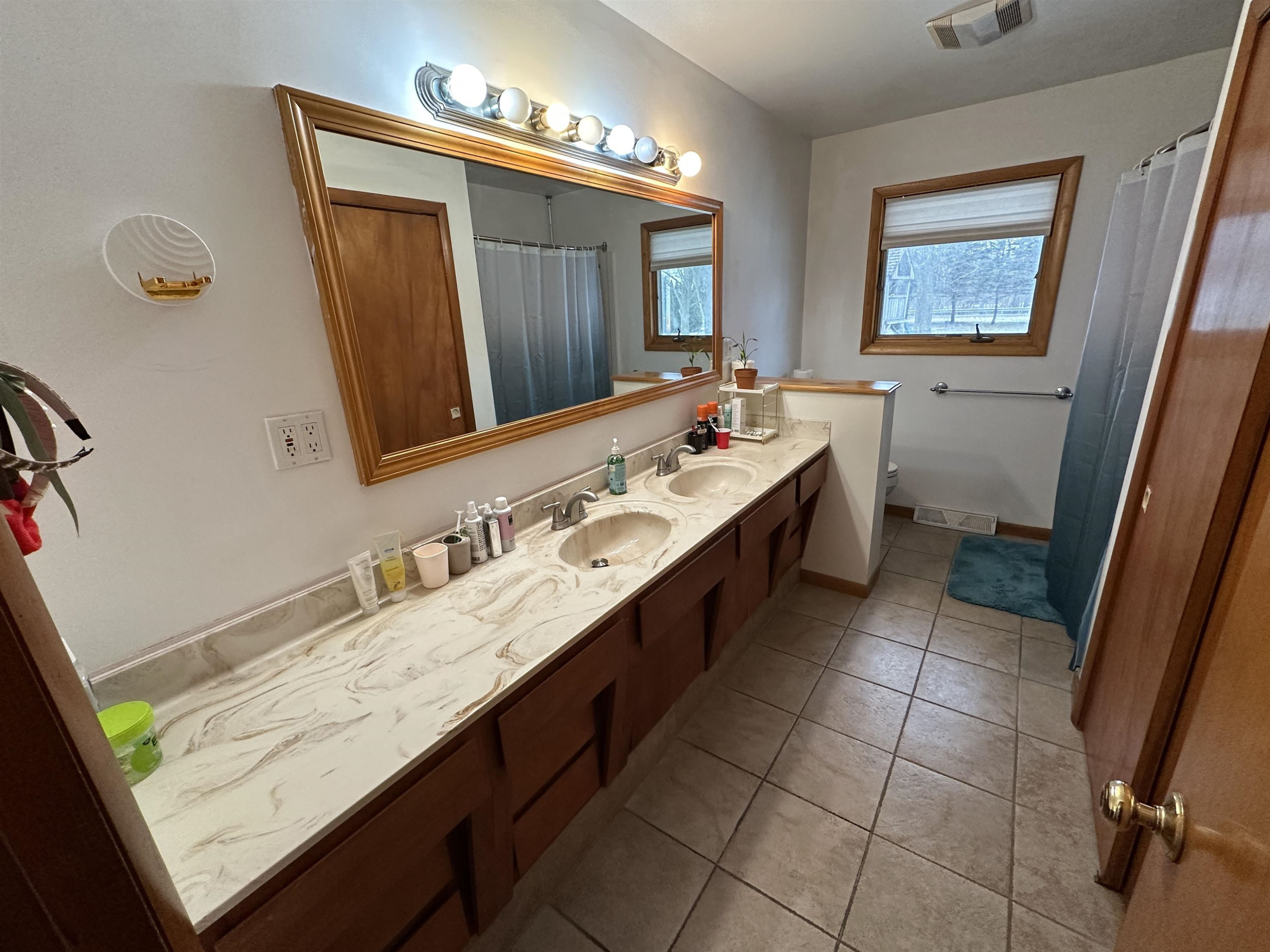 509 Andres Street, Chesaning, MI 48616 — Photo 23