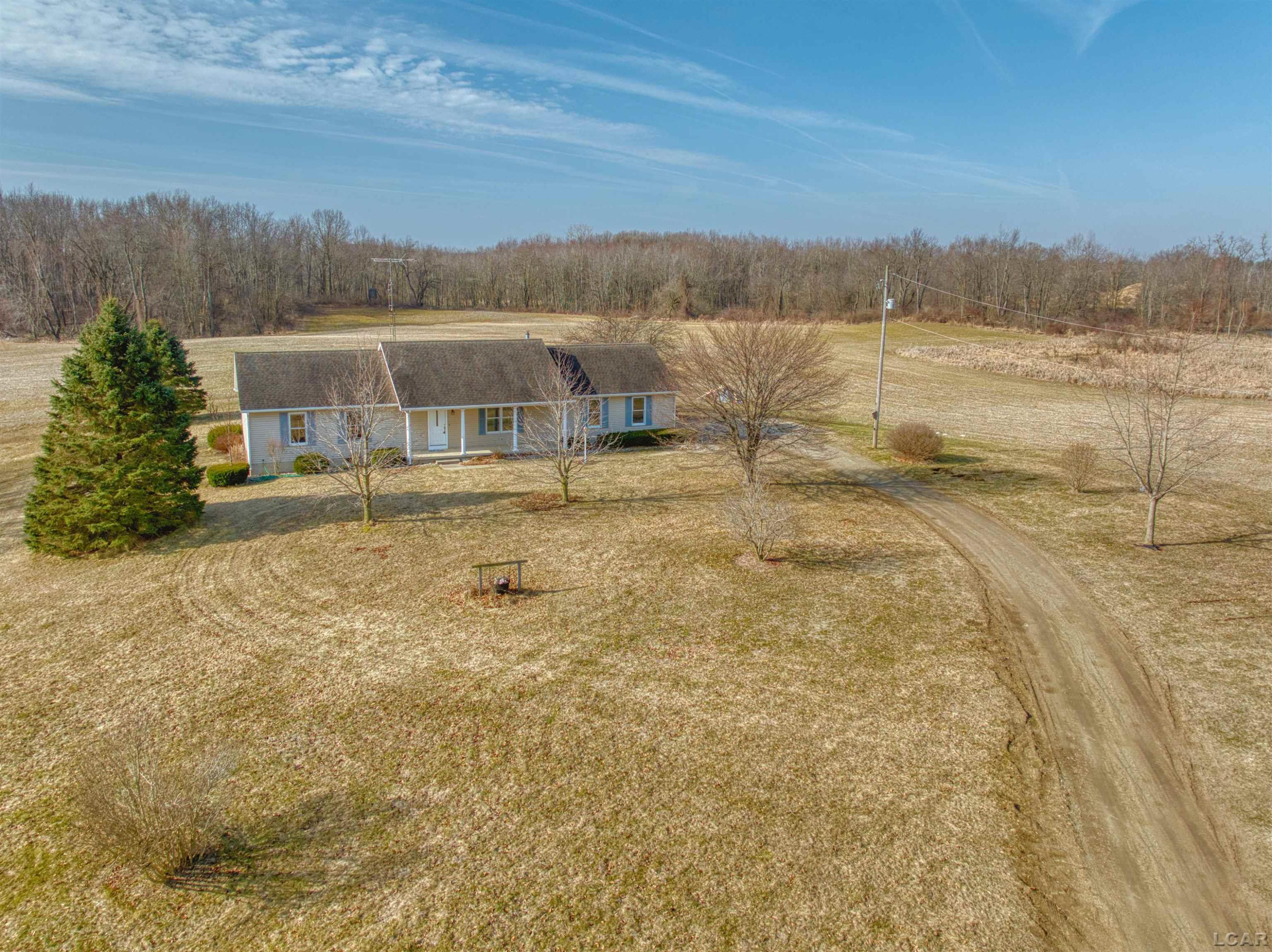 12533 US 223, Manitou Beach, MI 49253 — Photo 2
