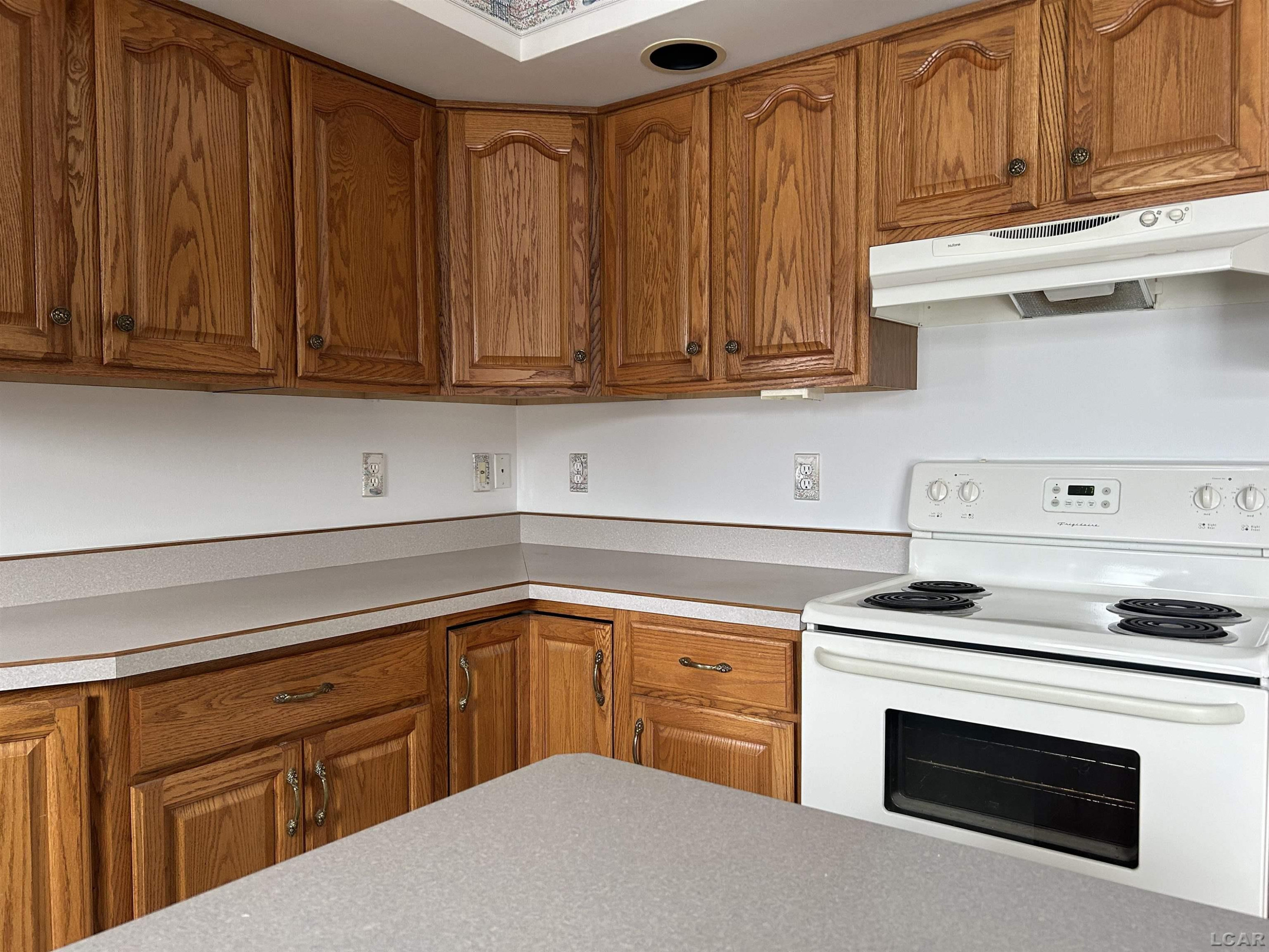 12533 US 223, Manitou Beach, MI 49253 — Photo 13