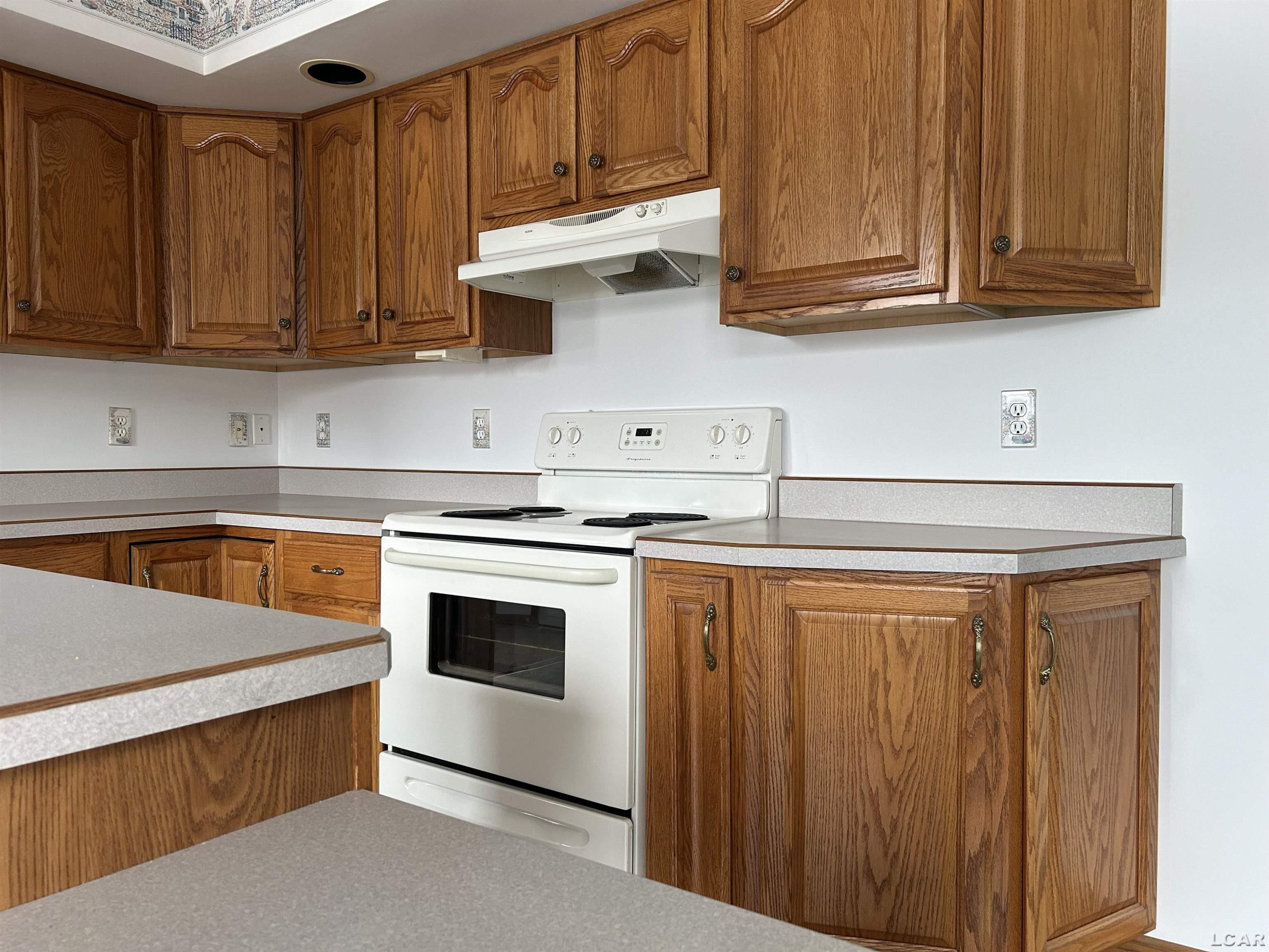 12533 US 223, Manitou Beach, MI 49253 — Photo 14