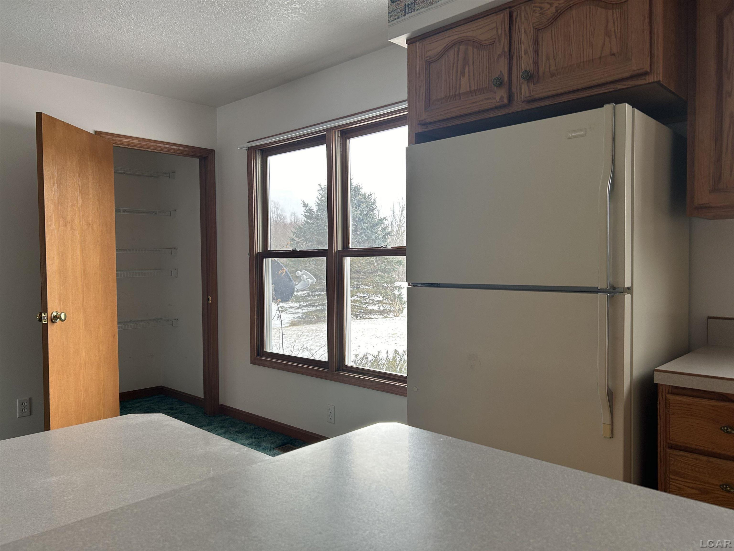 12533 US 223, Manitou Beach, MI 49253 — Photo 17