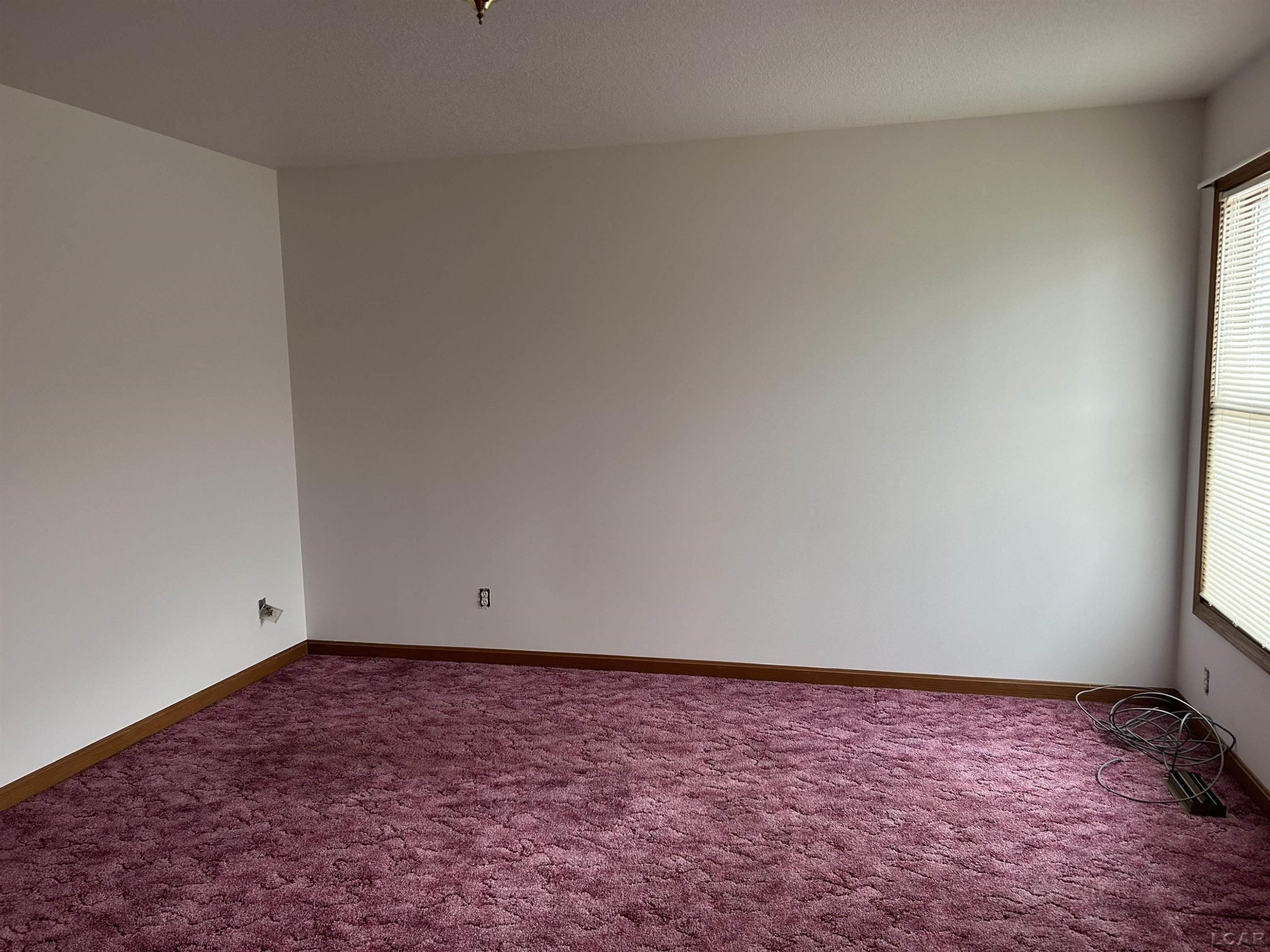 12533 US 223, Manitou Beach, MI 49253 — Photo 18