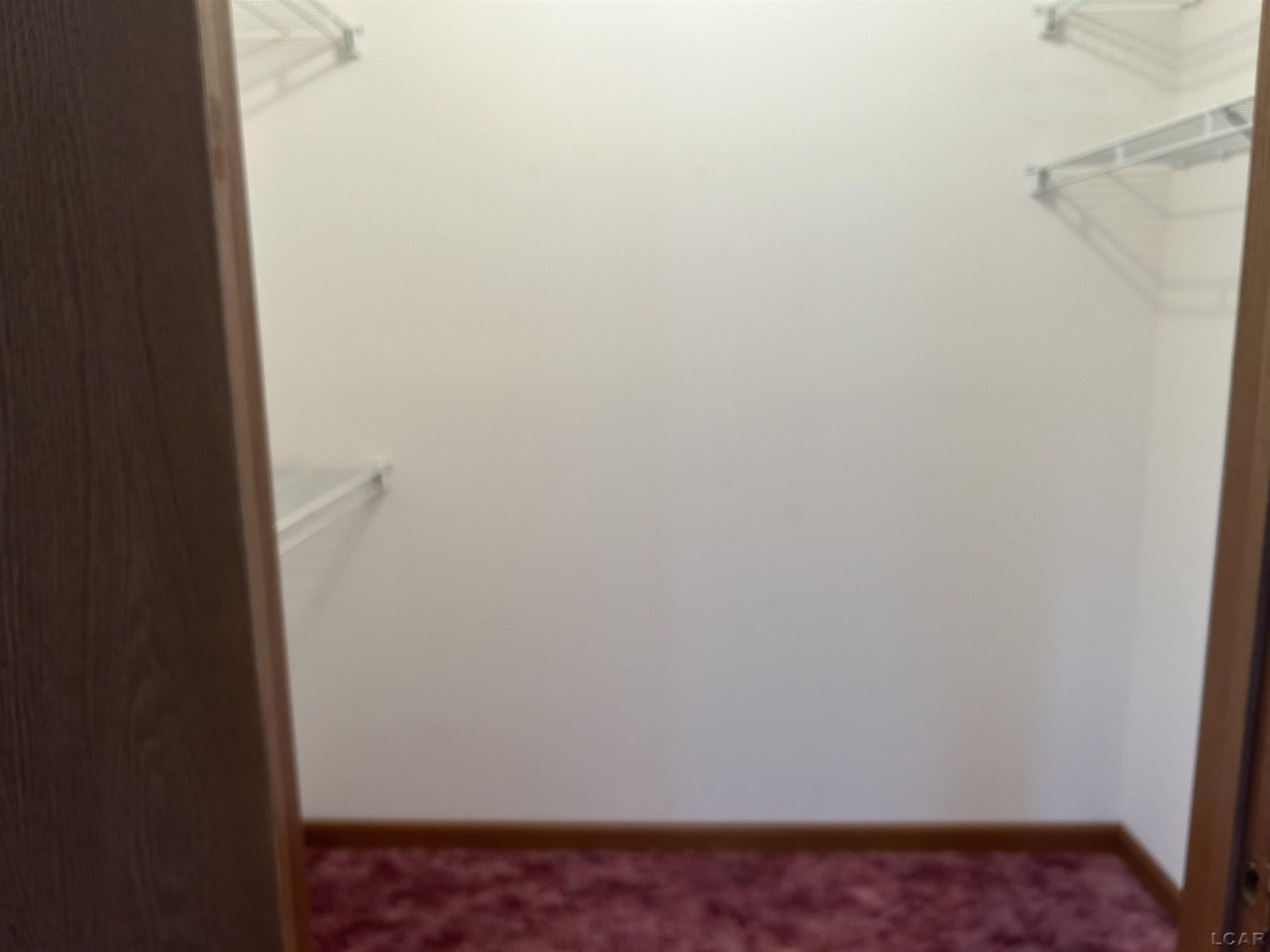12533 US 223, Manitou Beach, MI 49253 — Photo 19