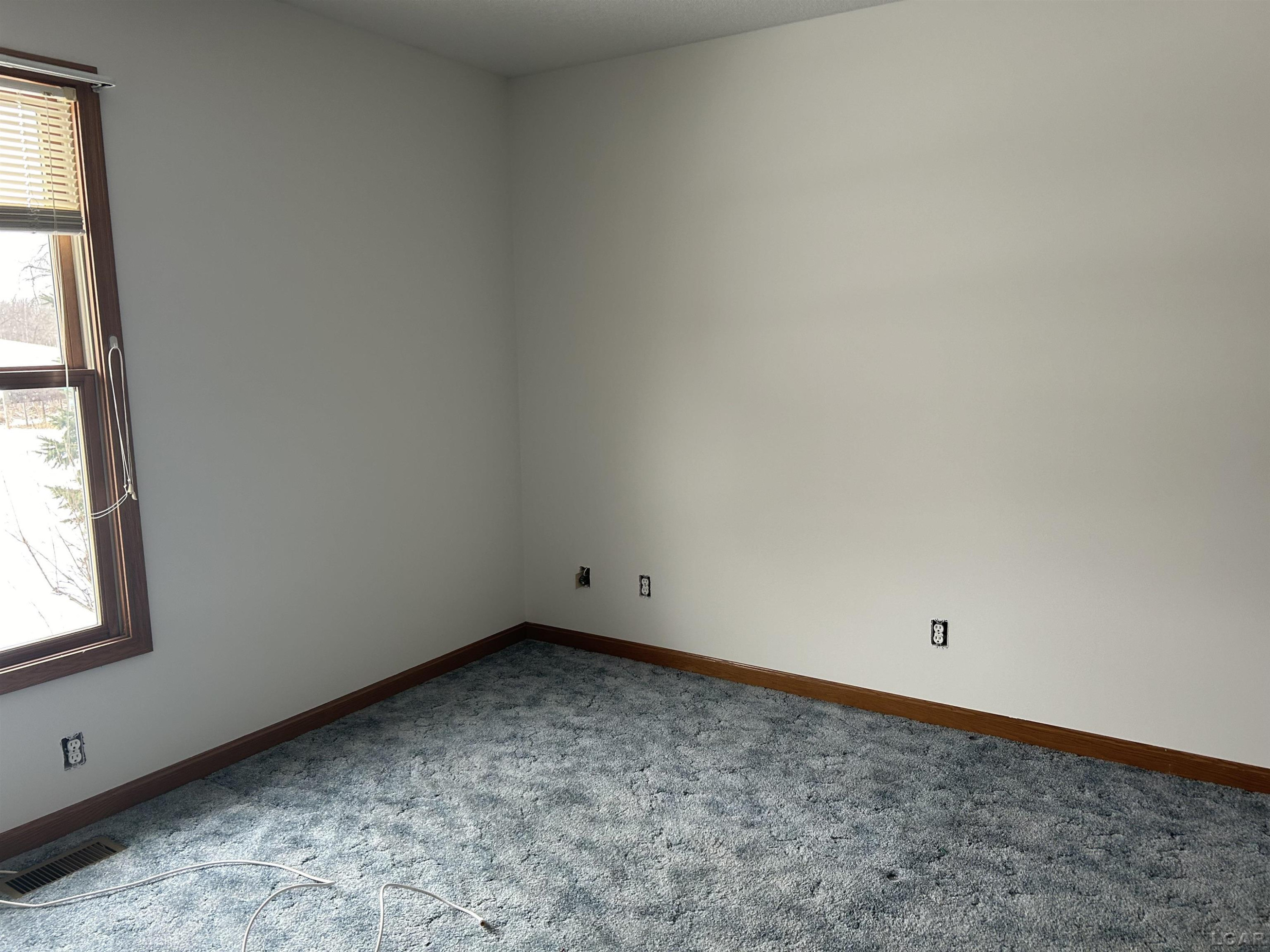 12533 US 223, Manitou Beach, MI 49253 — Photo 21