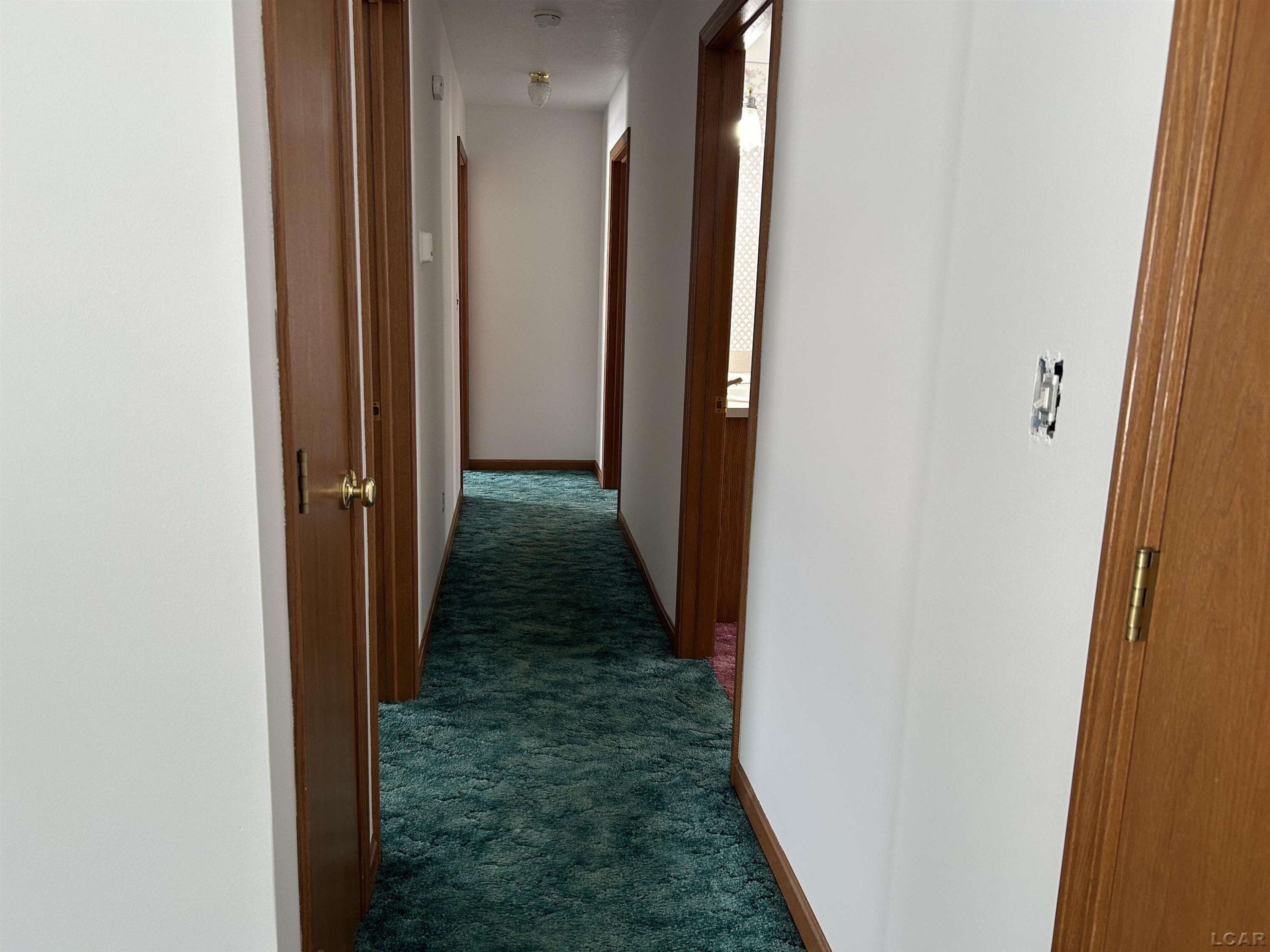 12533 US 223, Manitou Beach, MI 49253 — Photo 25