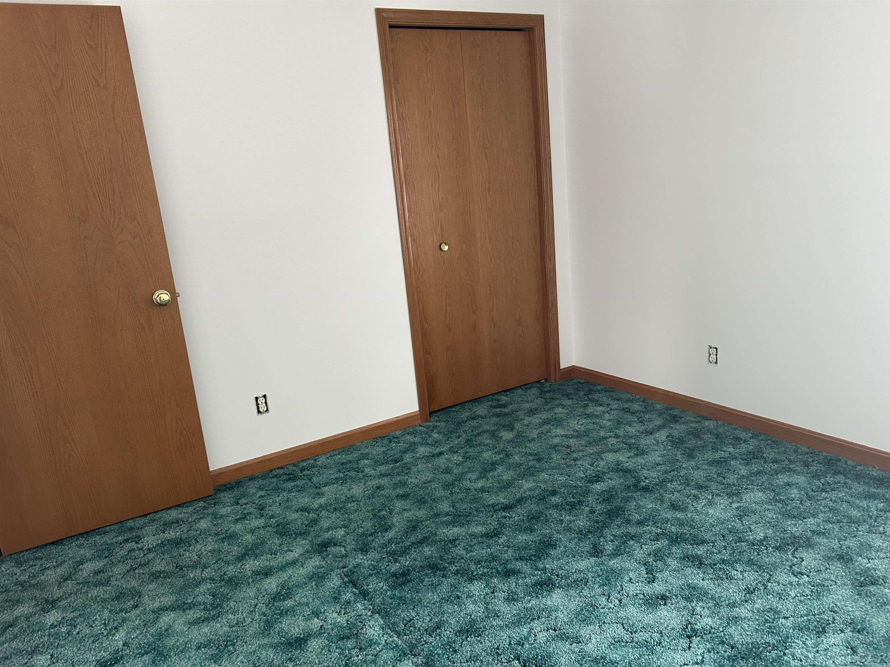 12533 US 223, Manitou Beach, MI 49253 — Photo 26