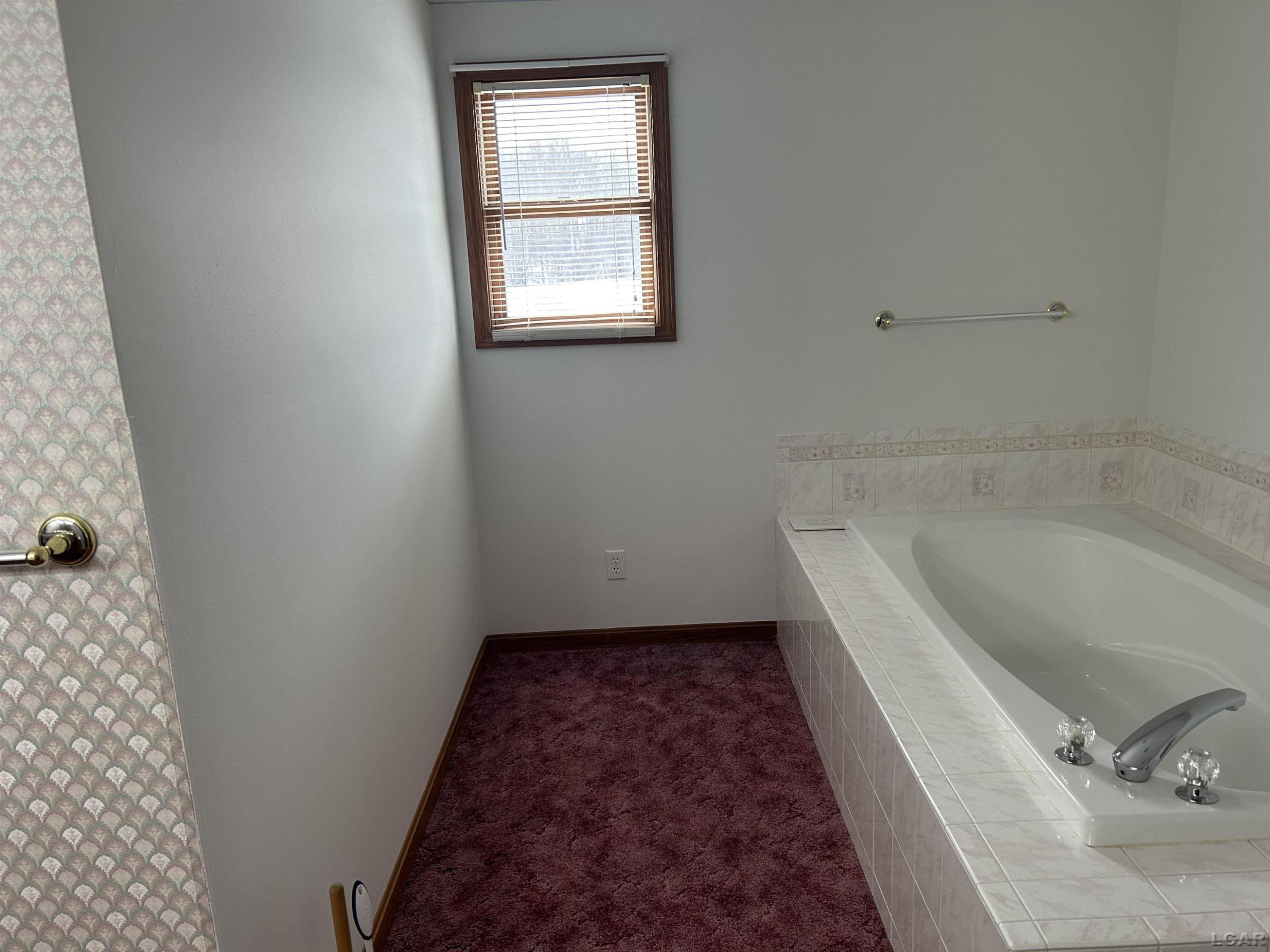 12533 US 223, Manitou Beach, MI 49253 — Photo 28
