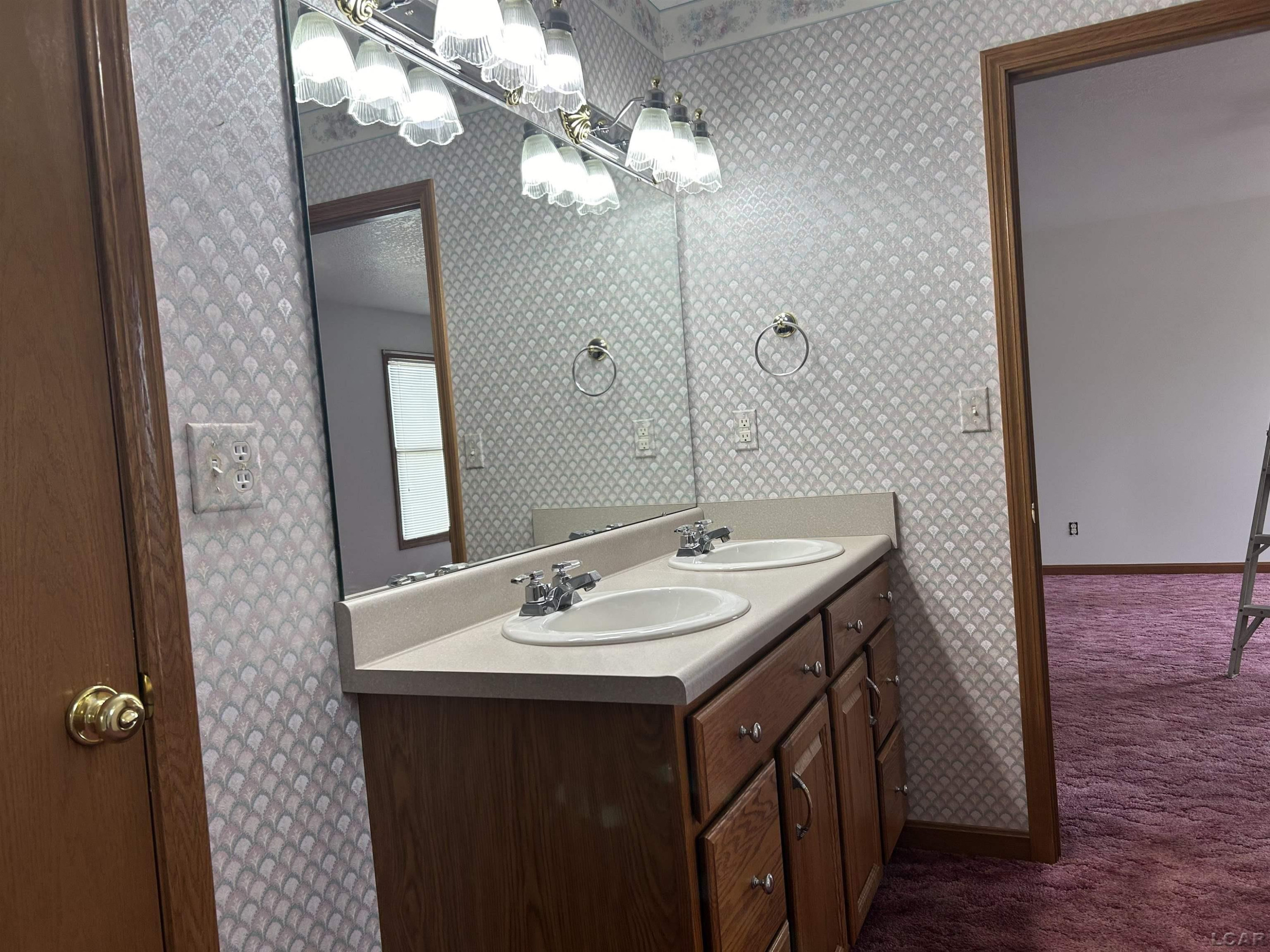 12533 US 223, Manitou Beach, MI 49253 — Photo 29
