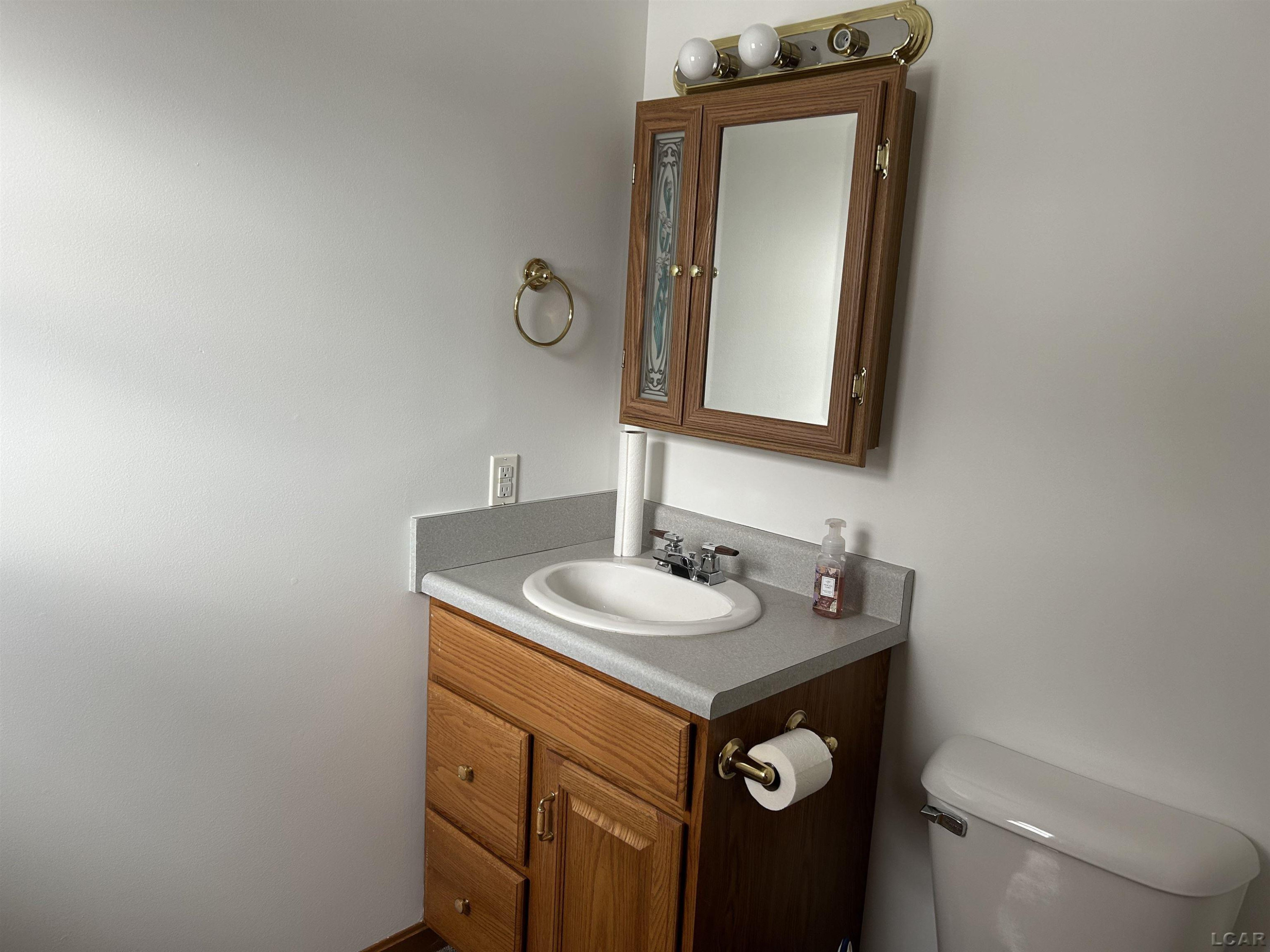 12533 US 223, Manitou Beach, MI 49253 — Photo 31