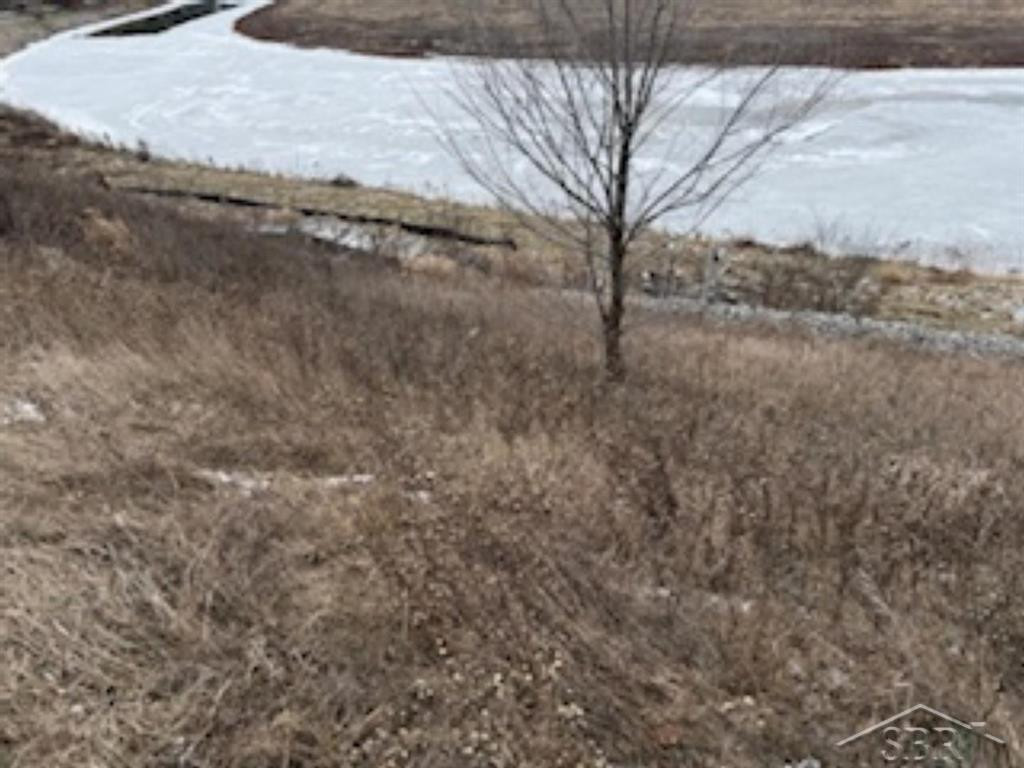 VL N Anna Lane, Sanford, MI 48657 — Photo 9