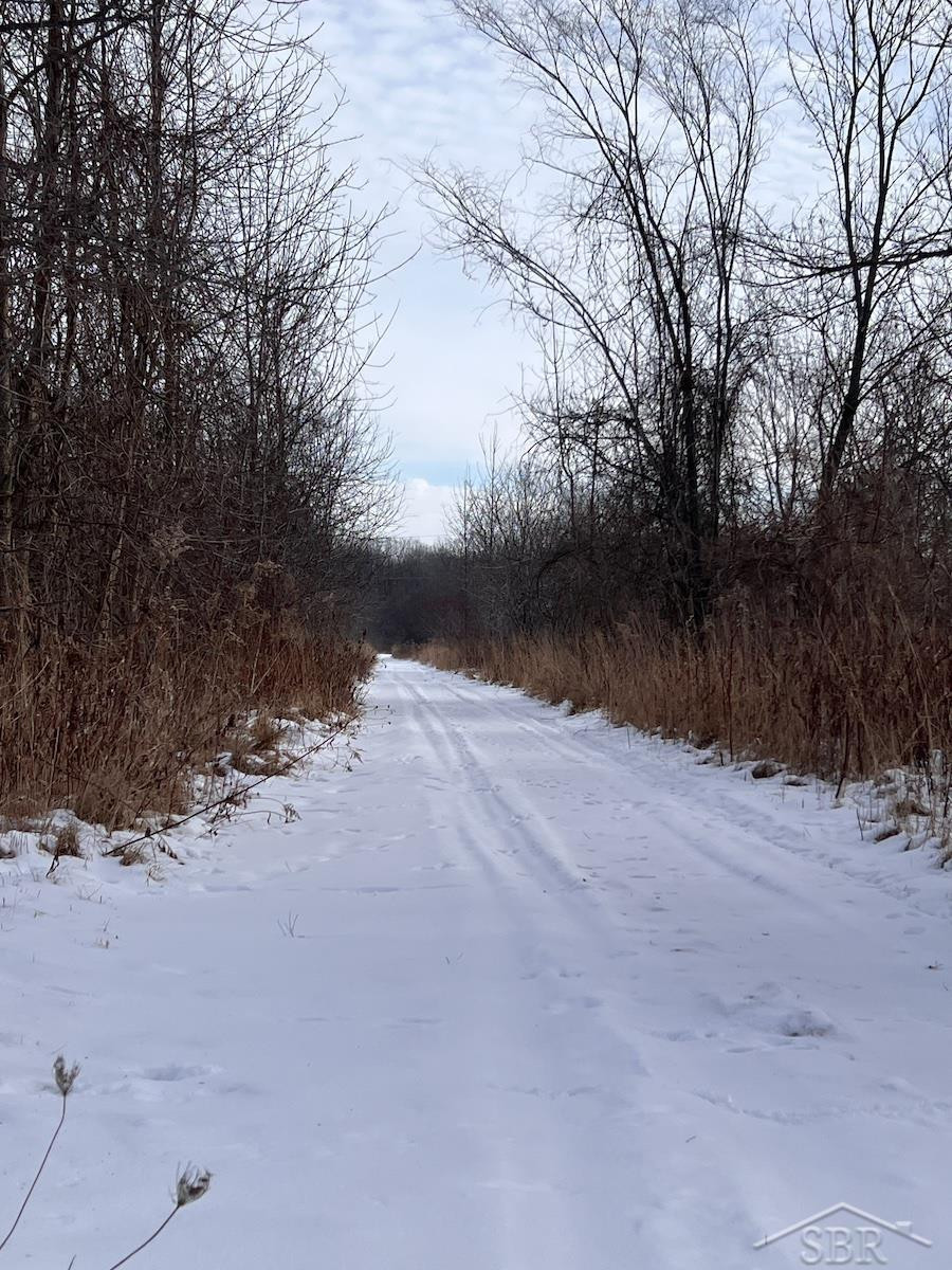 2681 S Center Road, Saginaw, MI 48609 — Photo 18