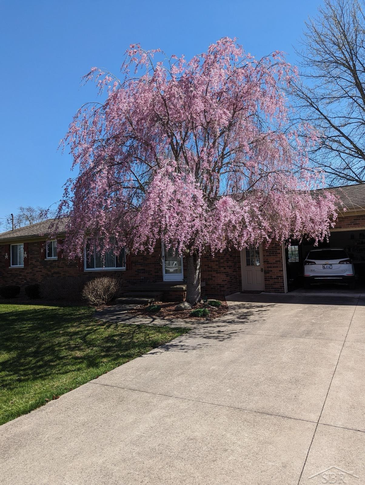 810 Sunflower Drive, Chesaning, MI 48616 — Photo 5
