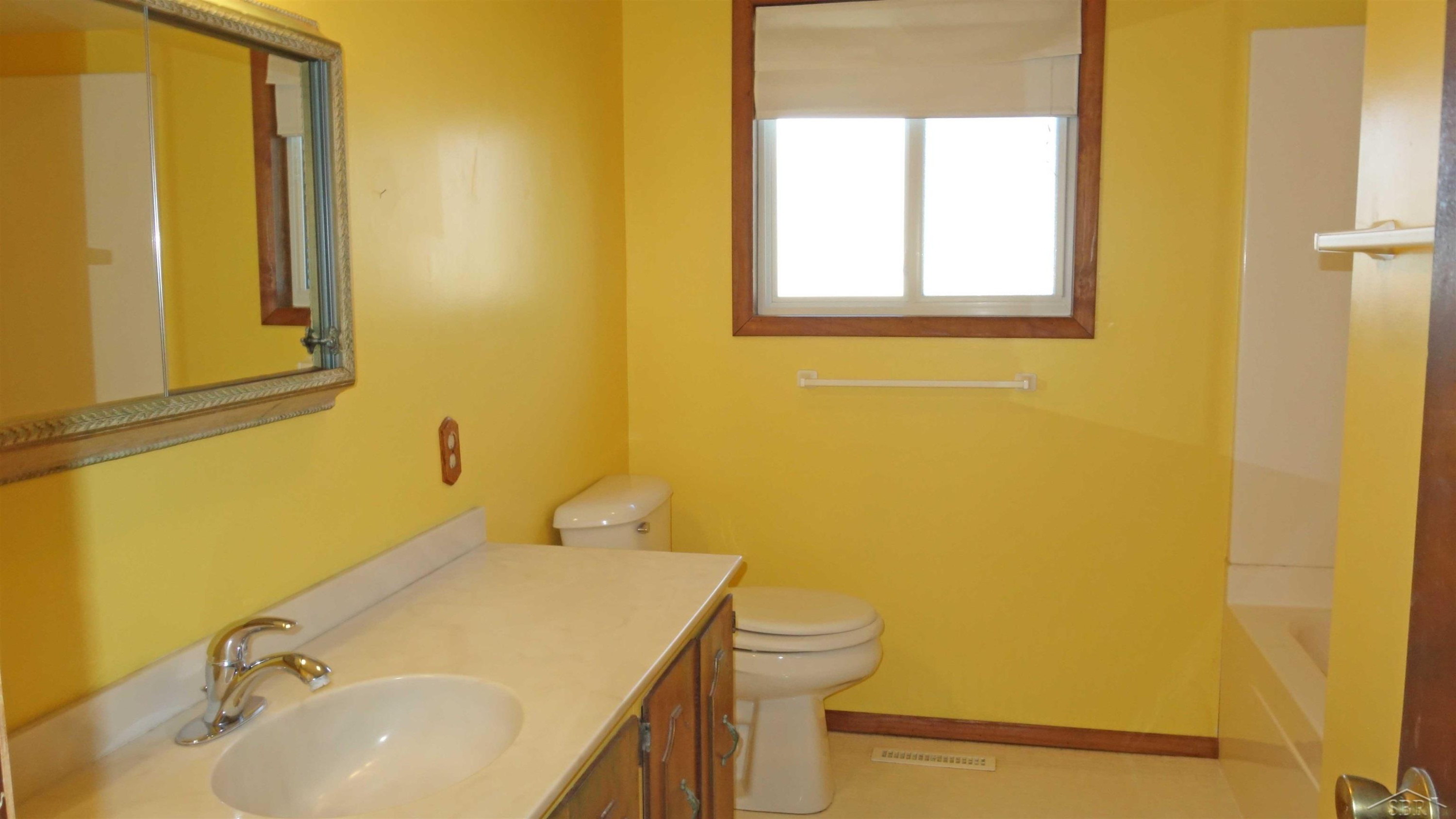 810 Sunflower Drive, Chesaning, MI 48616 — Photo 21