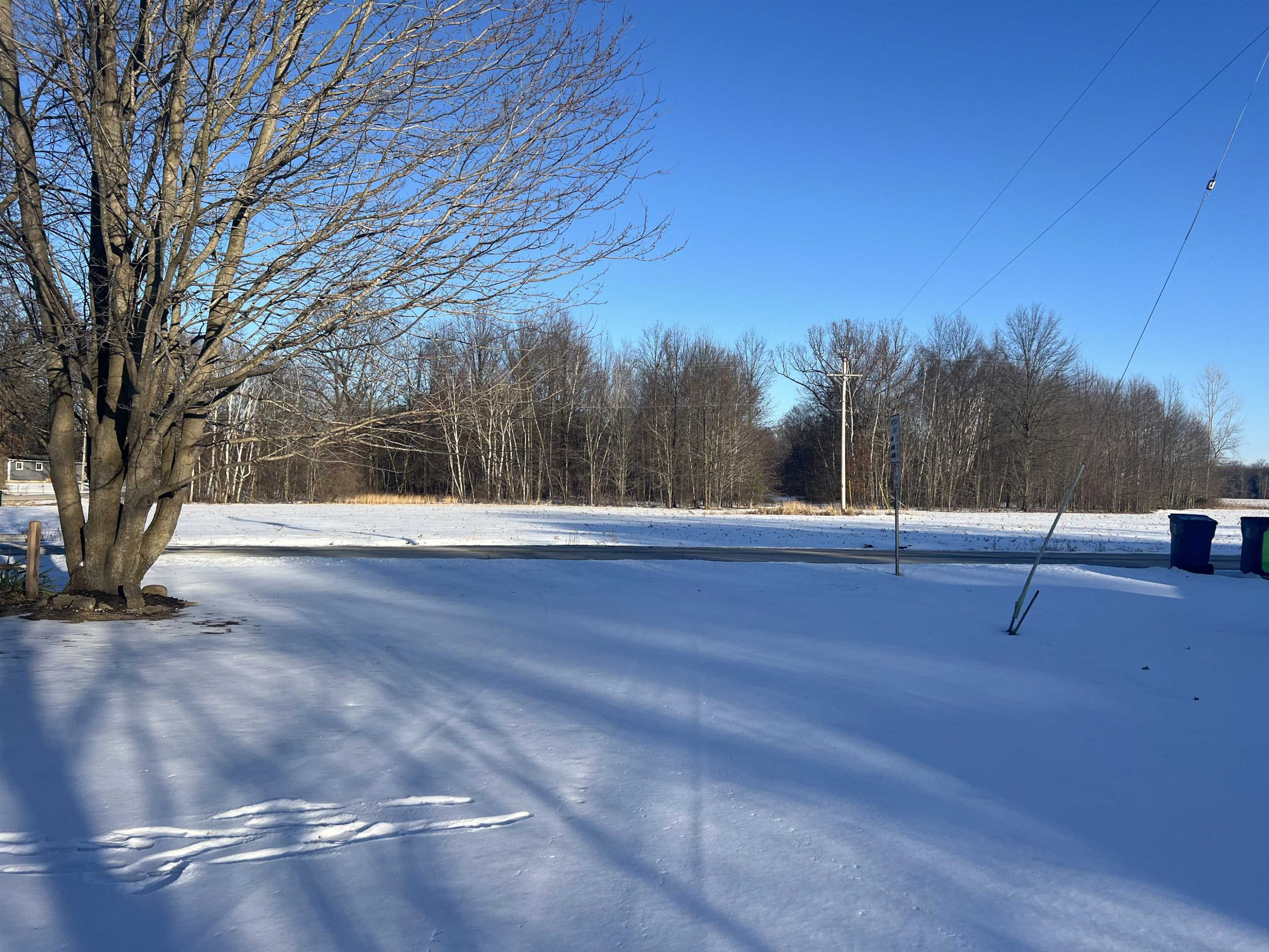 14018 Bishop Road, Chesaning, MI 48616 — Photo 33