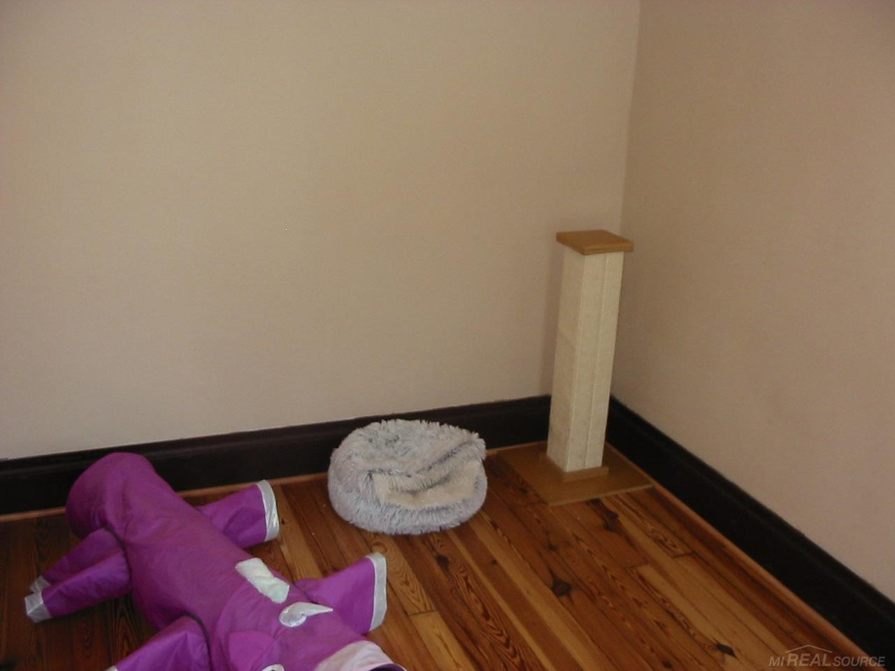304 W mill Street, Capac, MI 48014 — Photo 14