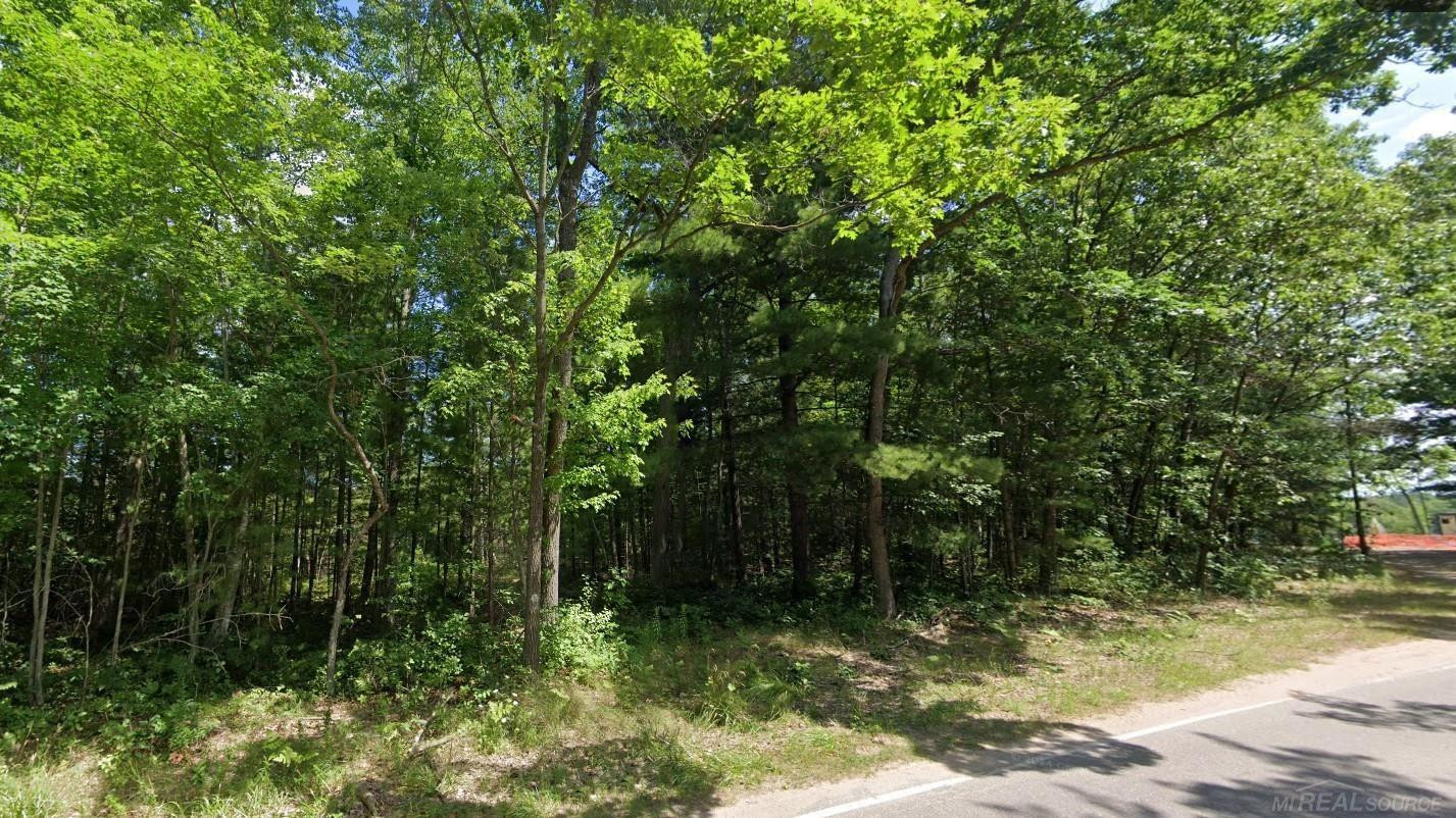 8656 N Blair Drive, Bitely, MI 49309 — Photo 2