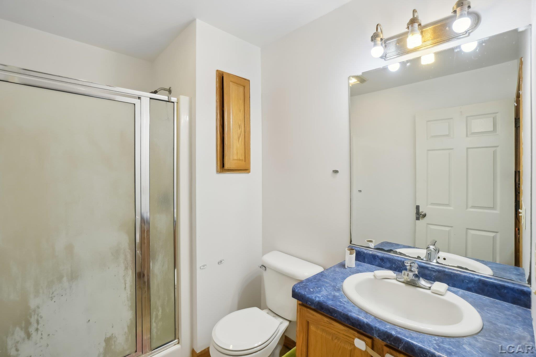 21200 Willow Rd Road, Manchester, MI 48158 — Photo 15