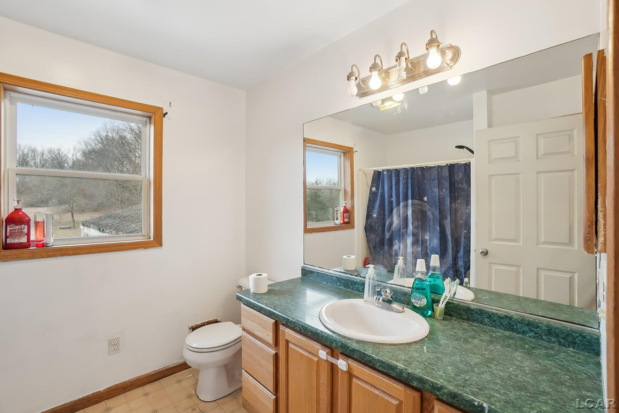 21200 Willow Rd Road, Manchester, MI 48158 — Photo 16