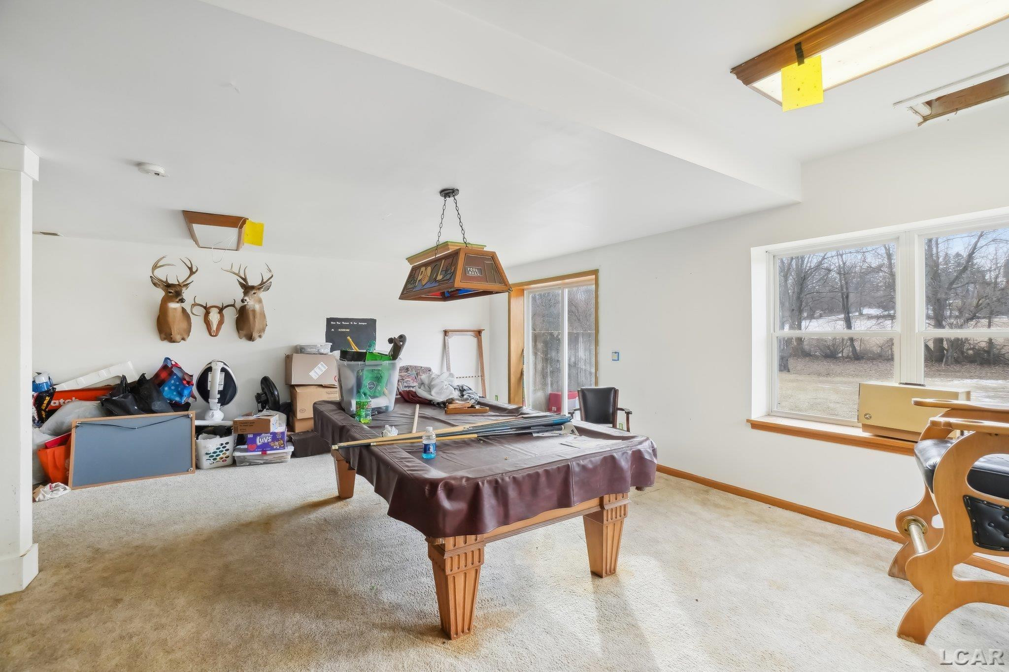 21200 Willow Rd Road, Manchester, MI 48158 — Photo 32
