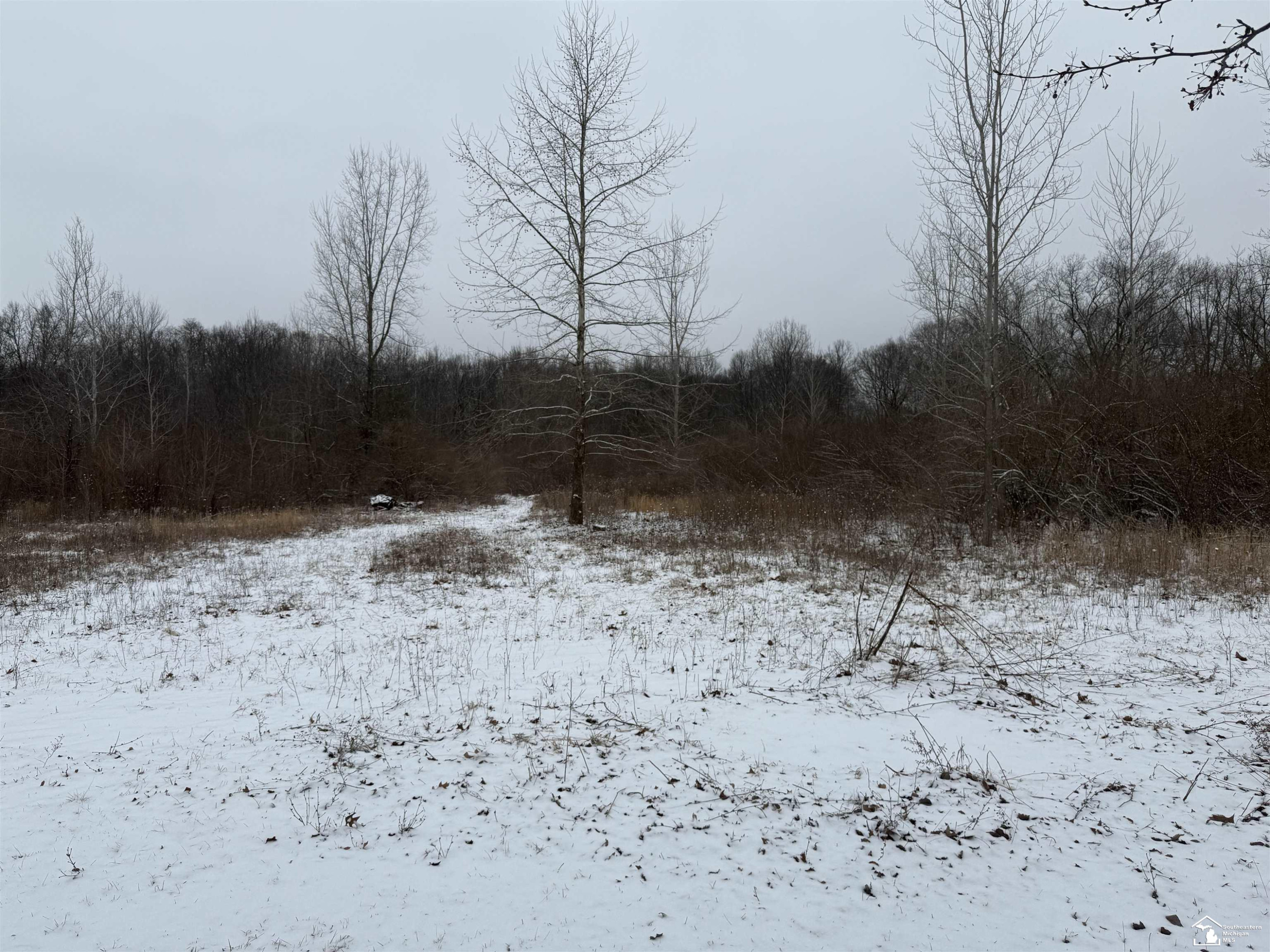 12122 Ostrander Road, Maybee, MI — Photo 17