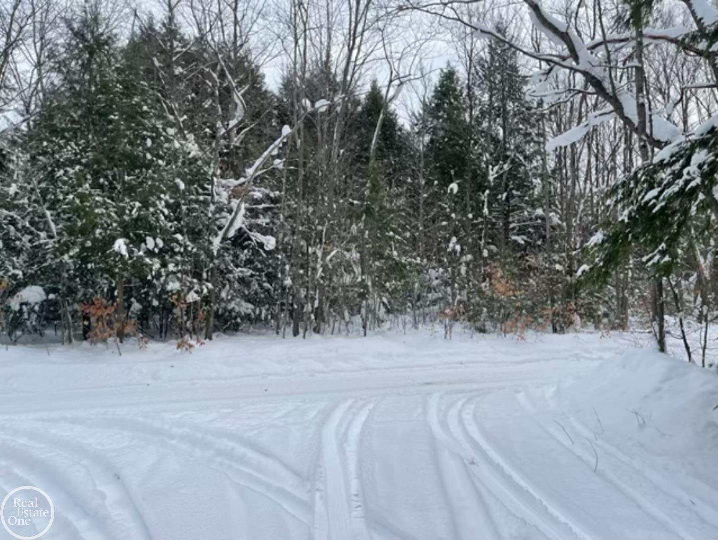VL Kenyon Trail, Frederic, MI 49733 — Photo 2