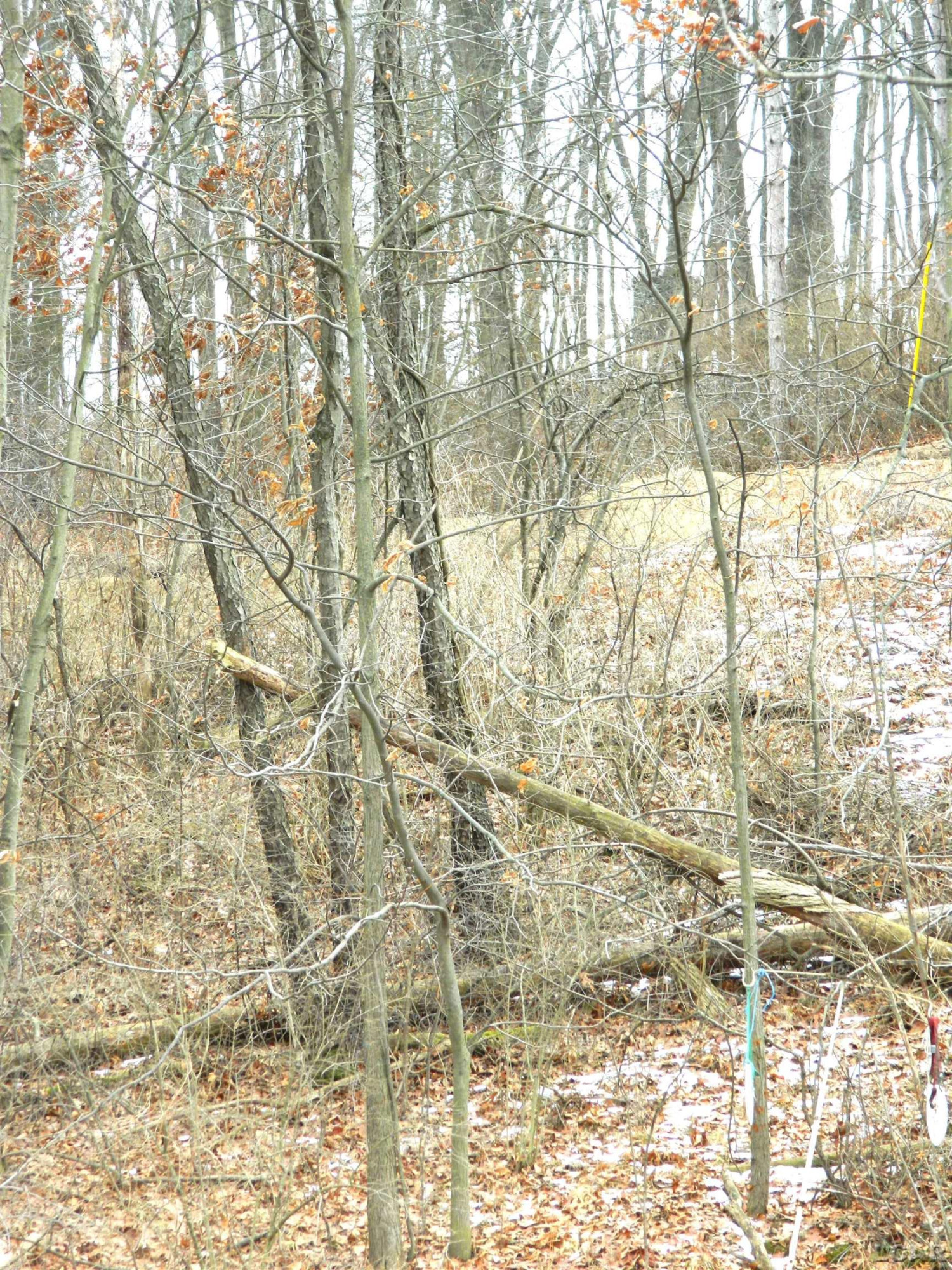 6945 W US 12 Highway, Onsted, MI 49265 — Photo 15