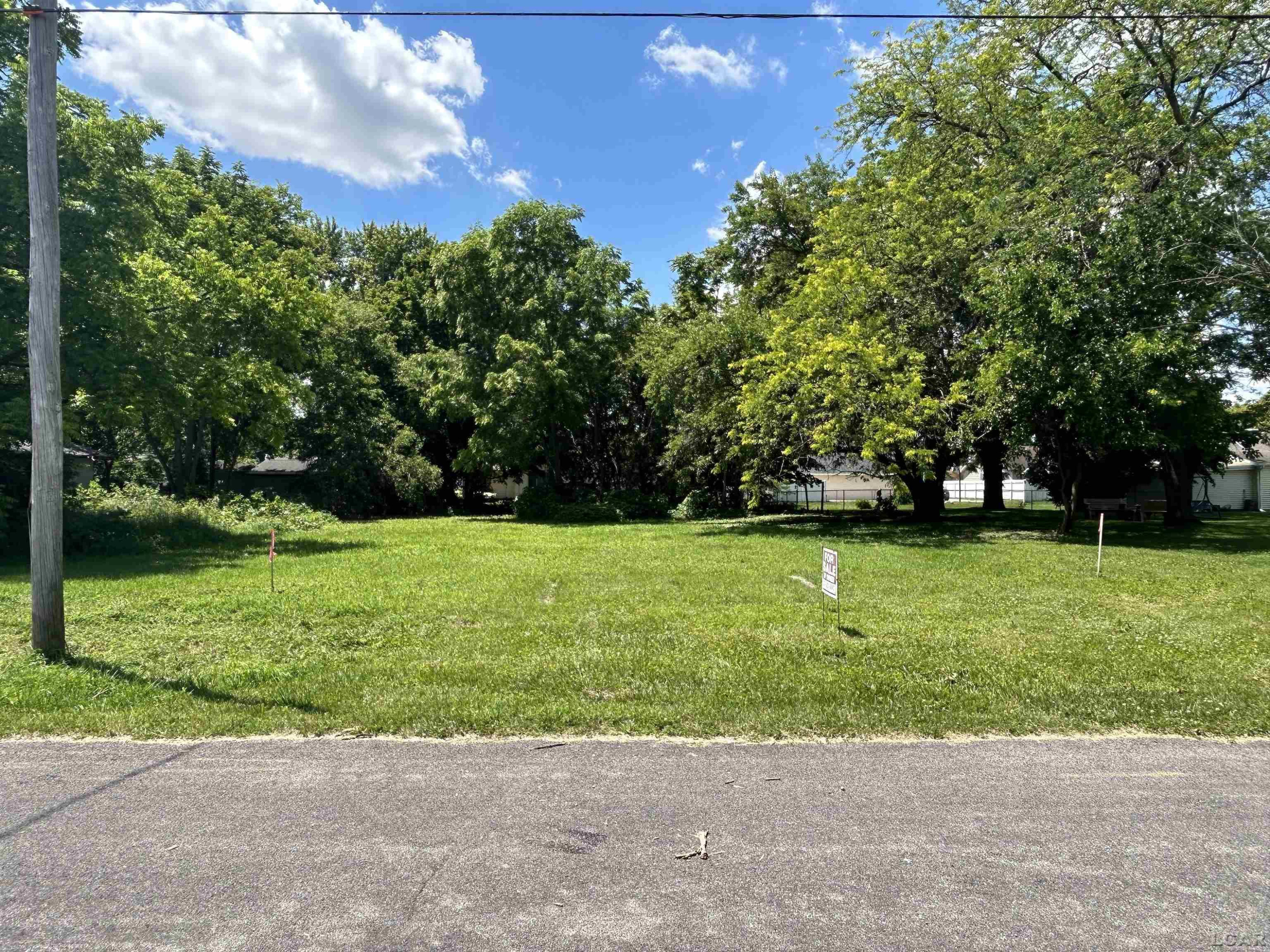 710 Parkwood Avenue, Blissfield, MI 49228 — Photo 5