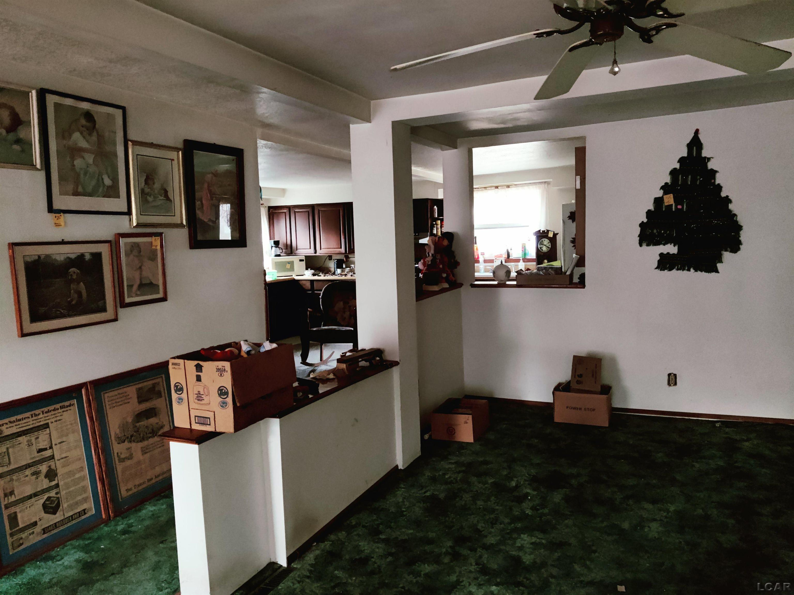 354 S Monroe Street, Blissfield, MI 49228 — Photo 6