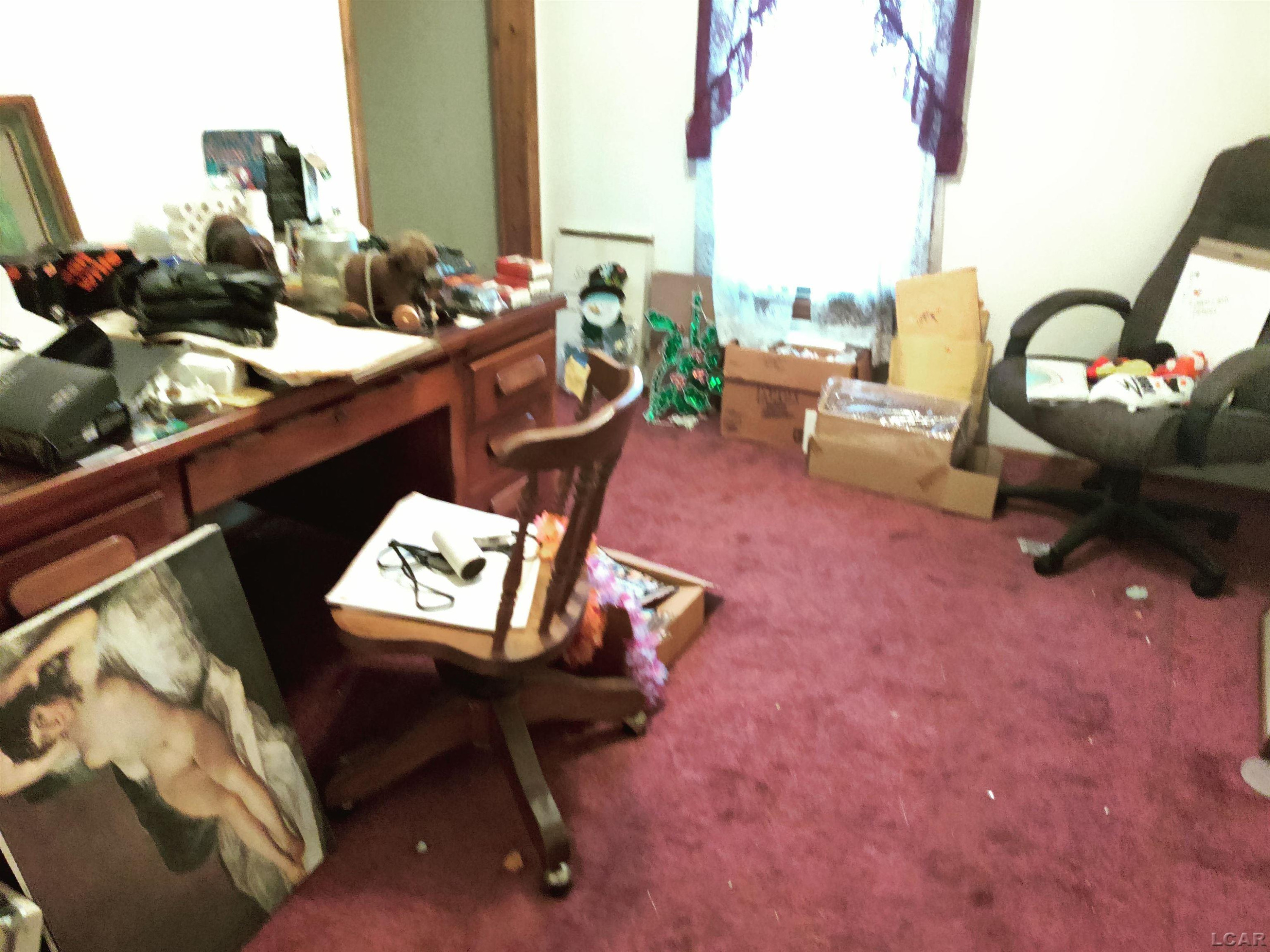 354 S Monroe Street, Blissfield, MI 49228 — Photo 8