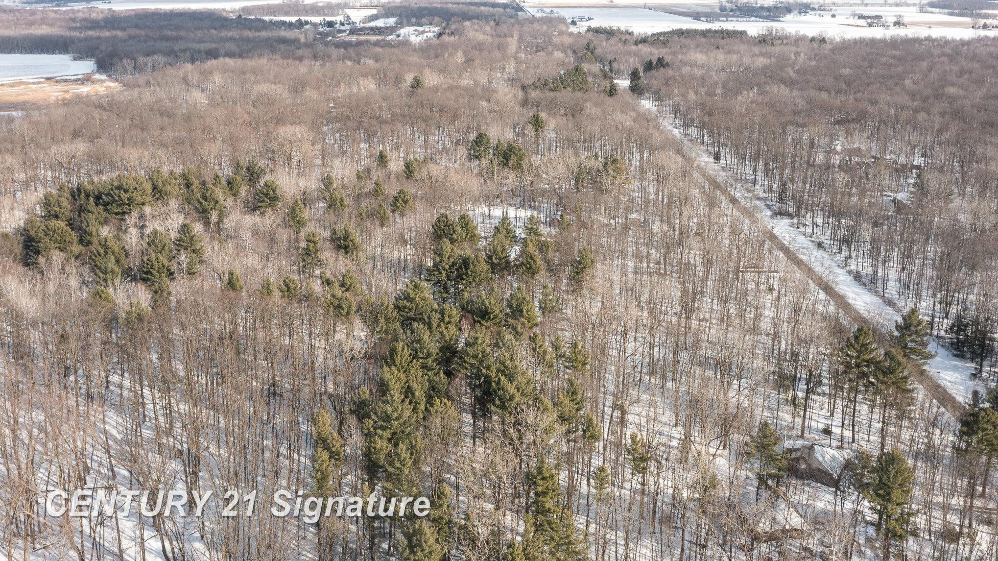 18880 Nelson Road, Saint Charles, MI 48655 — Photo 3