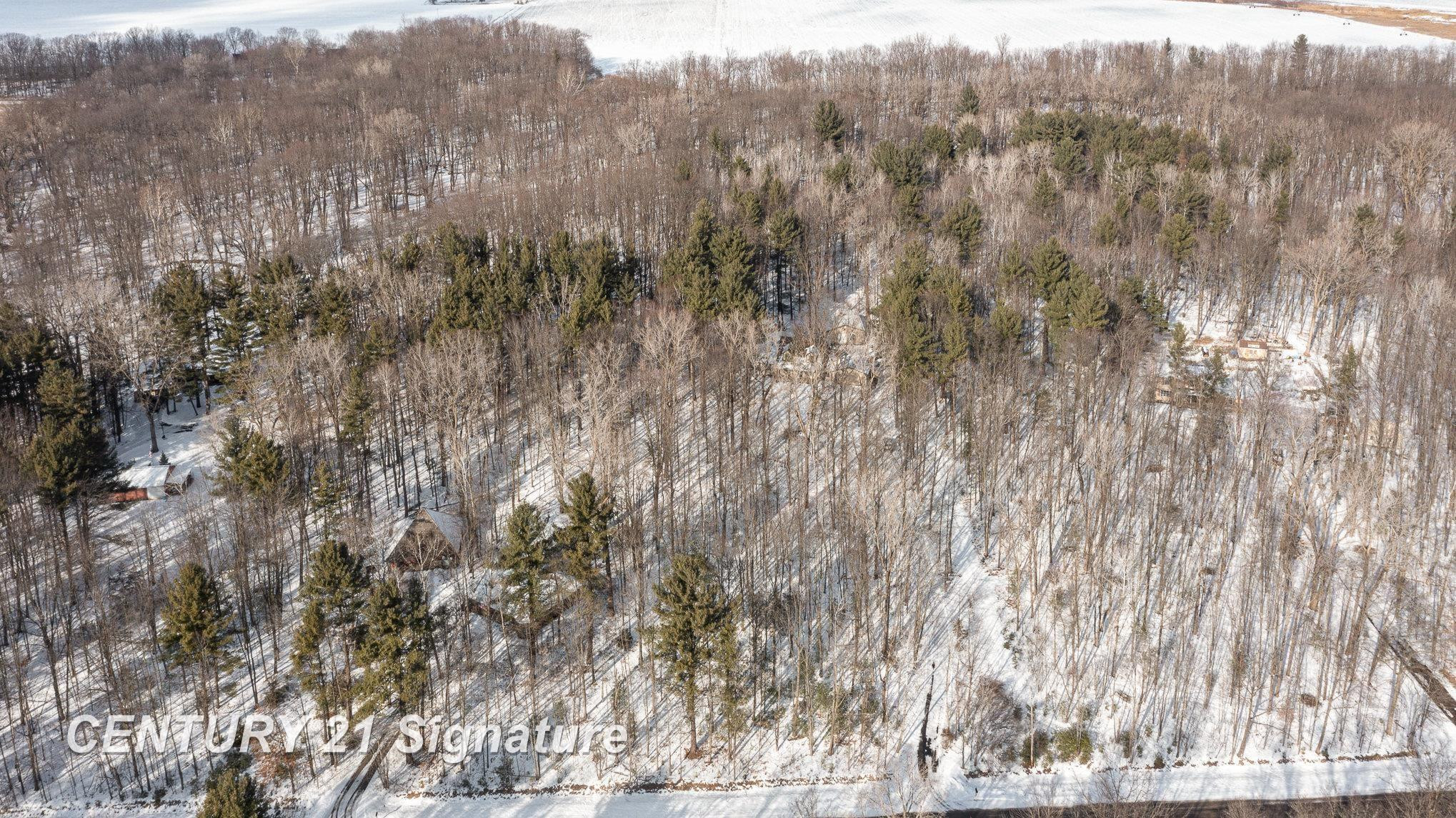 18880 Nelson Road, Saint Charles, MI 48655 — Photo 5