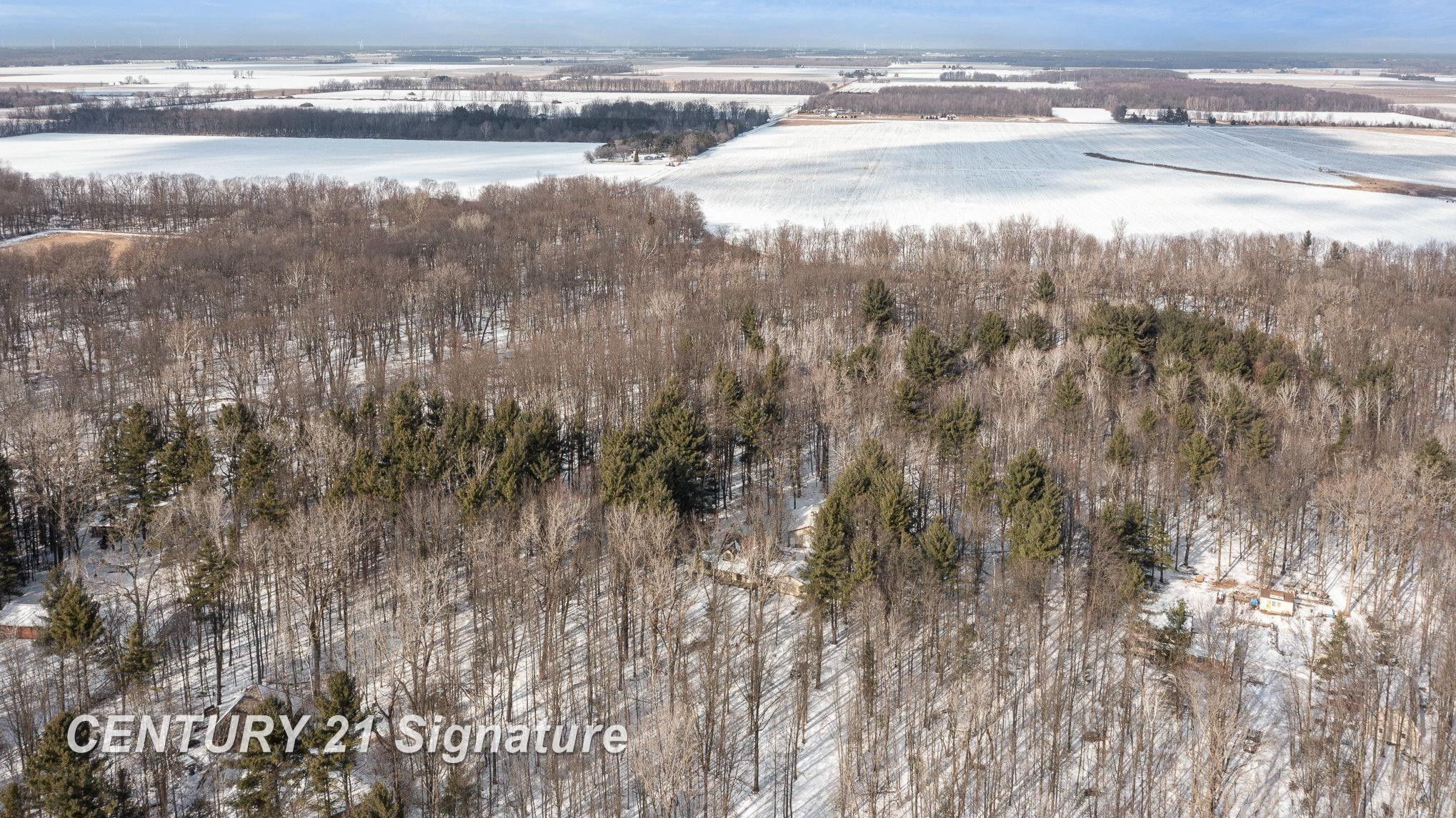 18880 Nelson Road, Saint Charles, MI 48655 — Photo 29
