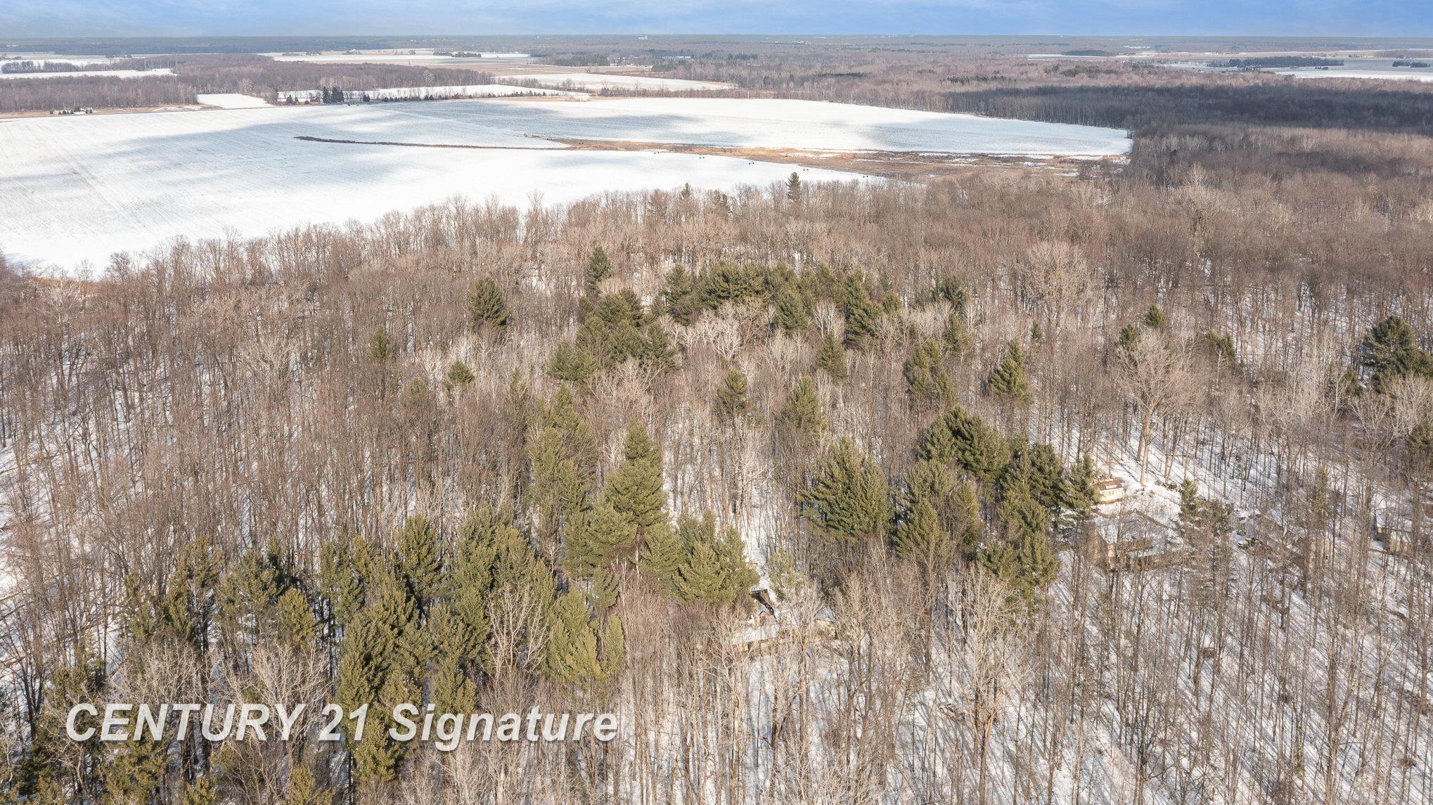 18880 Nelson Road, Saint Charles, MI 48655 — Photo 30