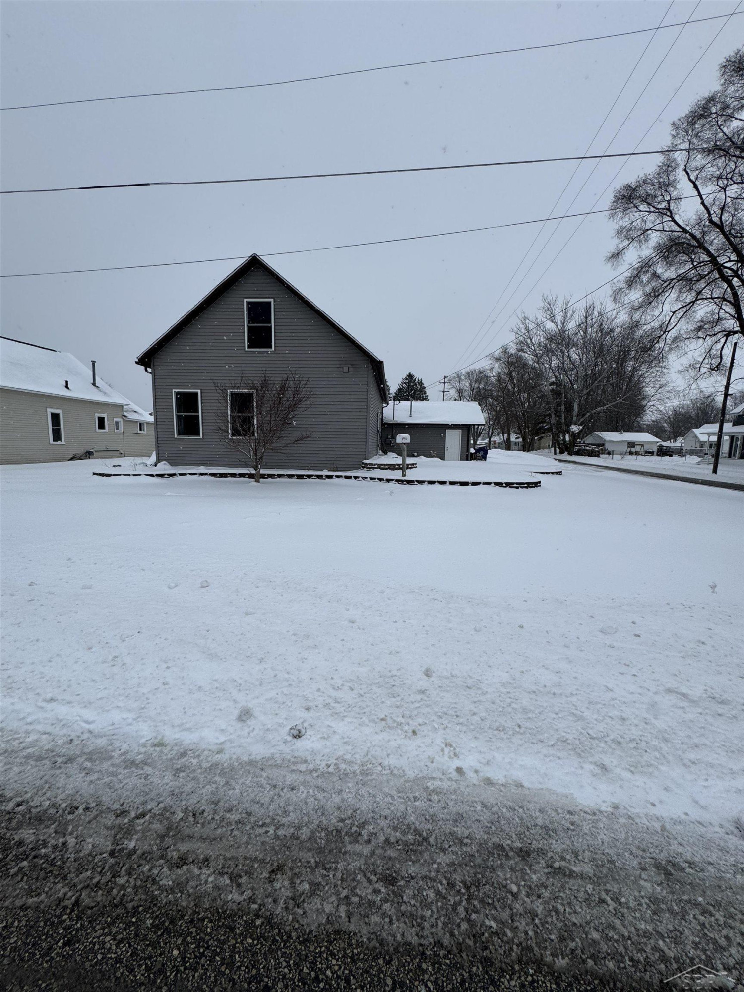 121 S IRVING Street, Saint Charles, MI 48655 — Photo 3