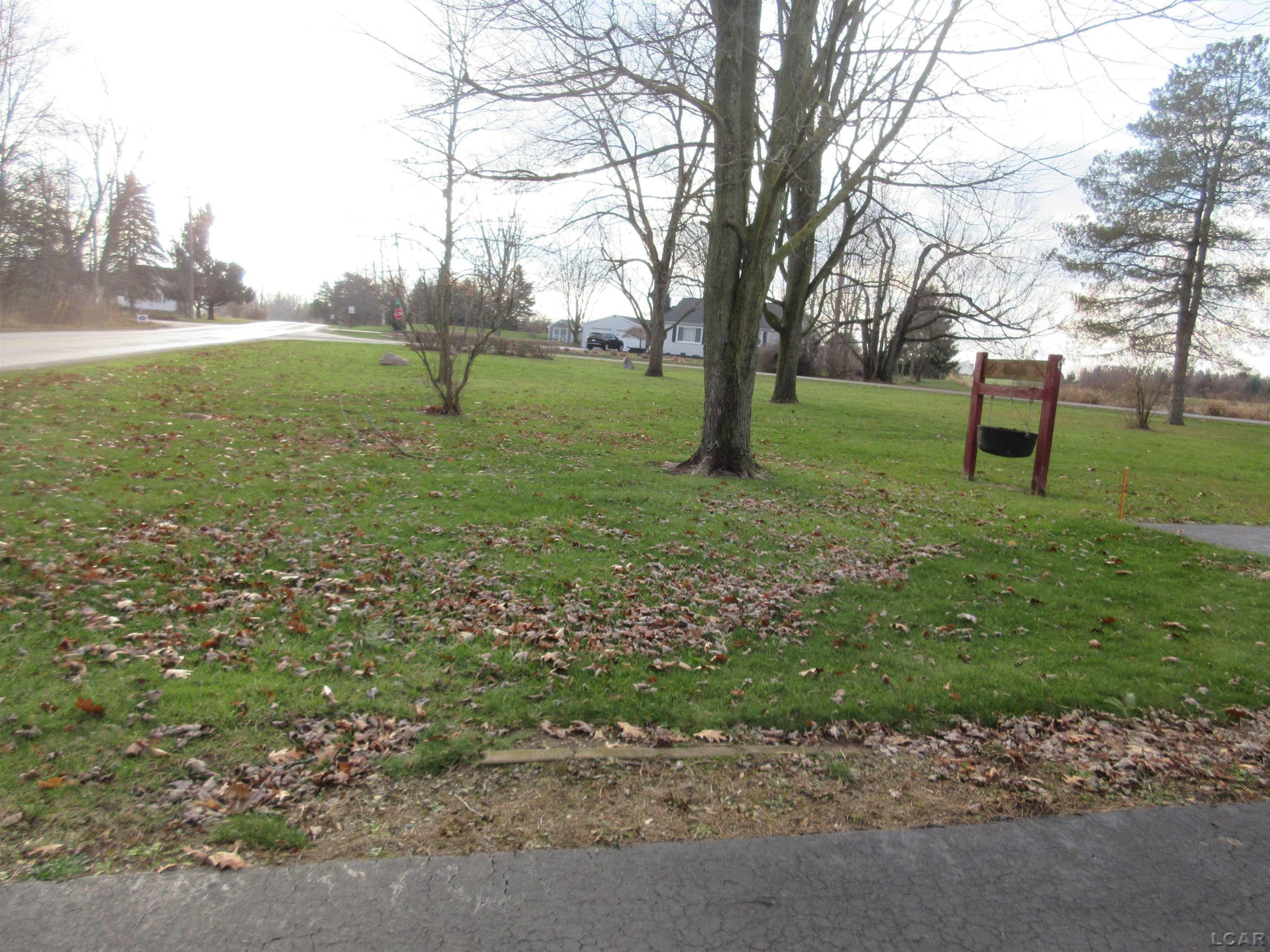 11852 MACON, Clinton, MI 49236 — Photo 6