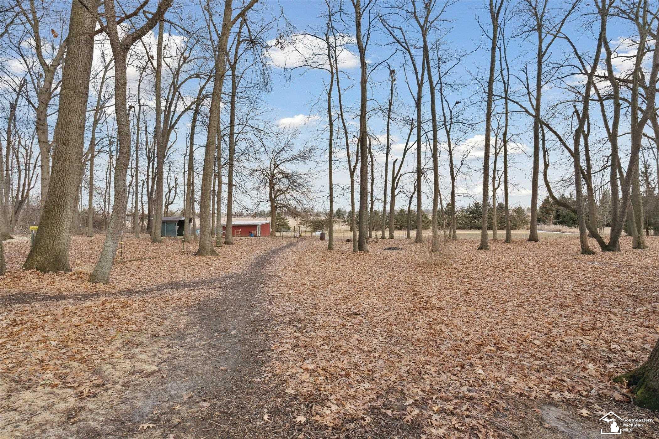 4135 Ogden Highway, Adrian, MI 49221 — Photo 56