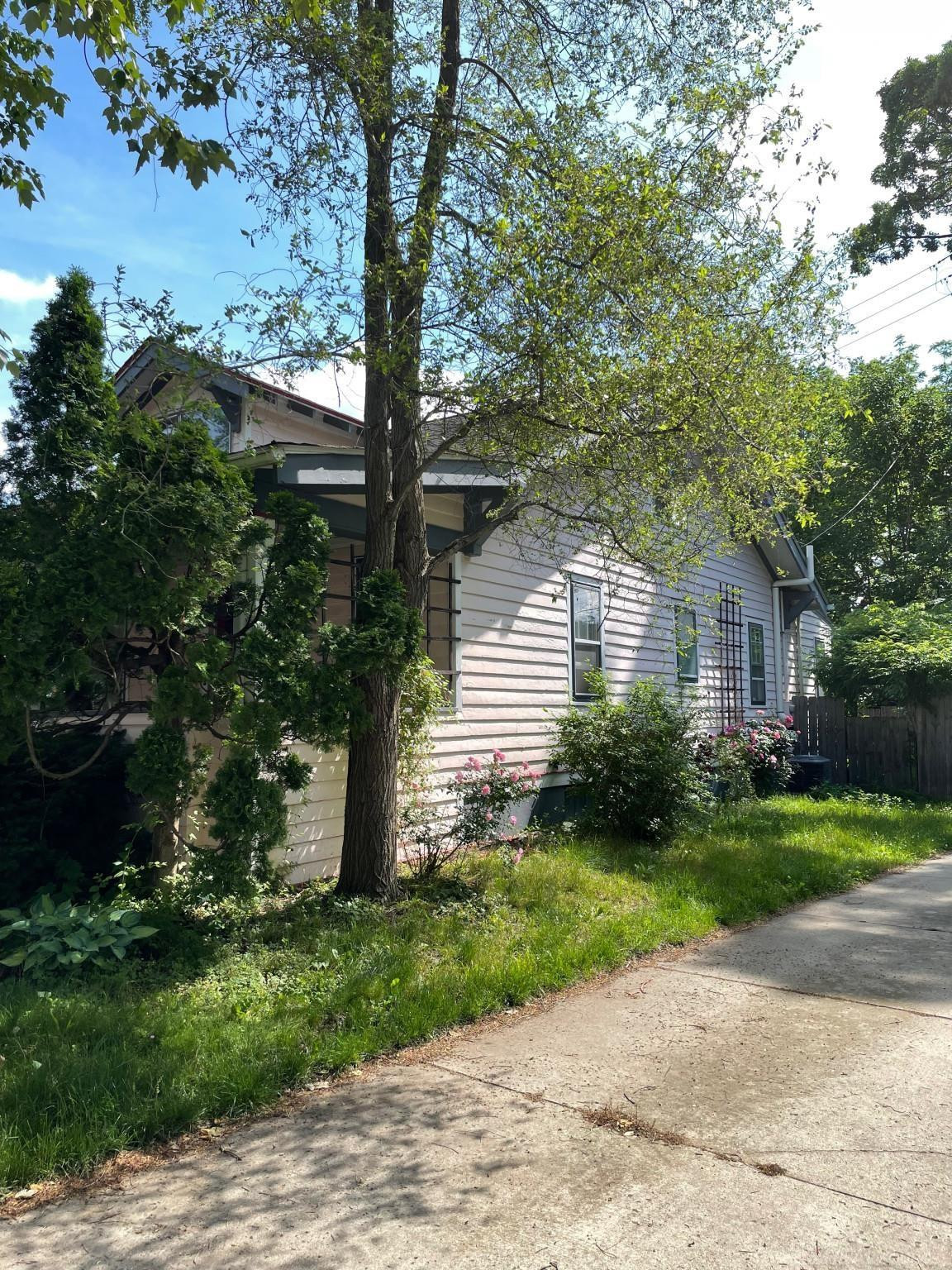 209 Buena Vista Avenue, Ann Arbor, MI 48103 — Photo 4