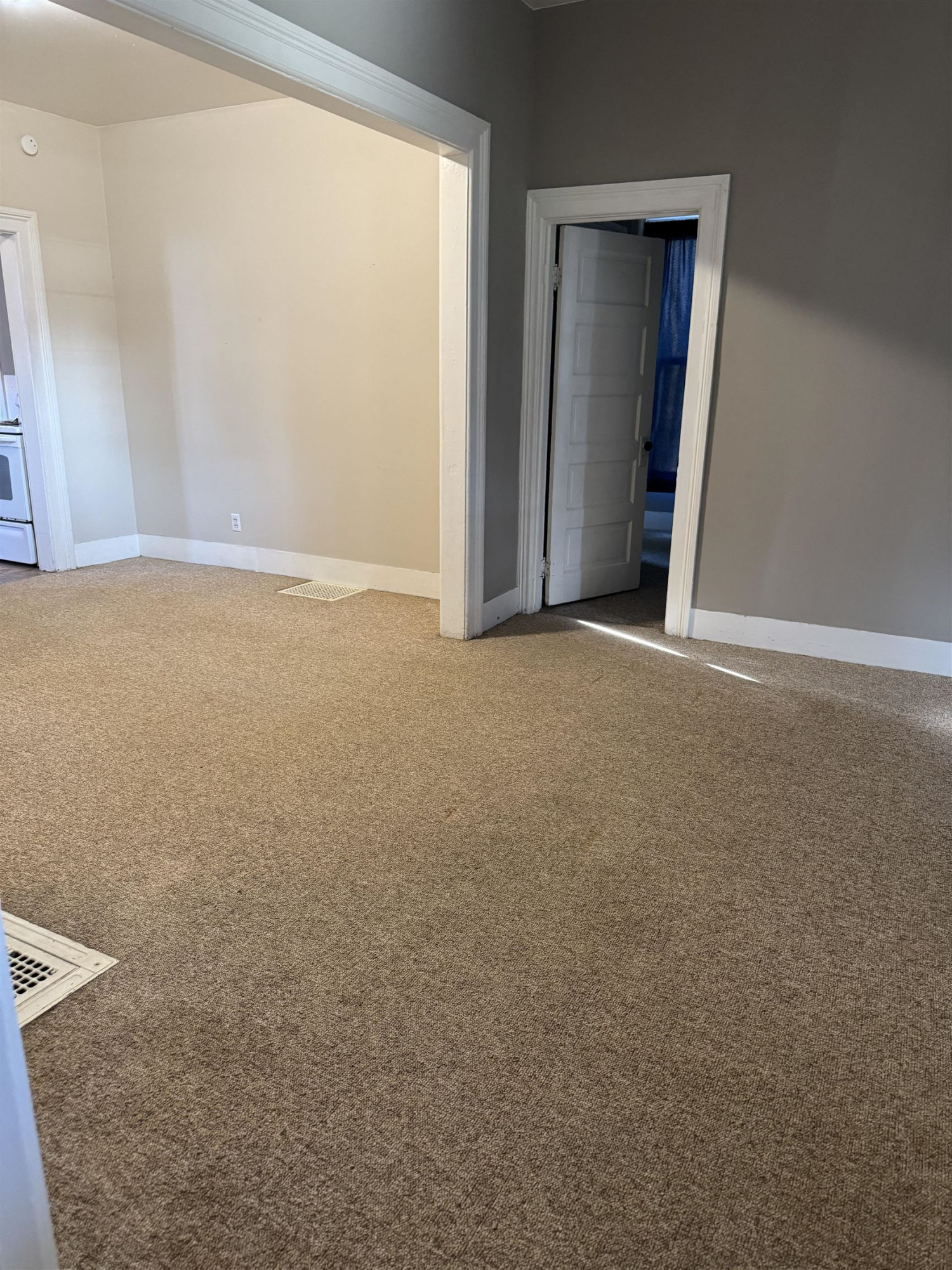 222 Brady Street, Chesaning, MI 48616 — Photo 28