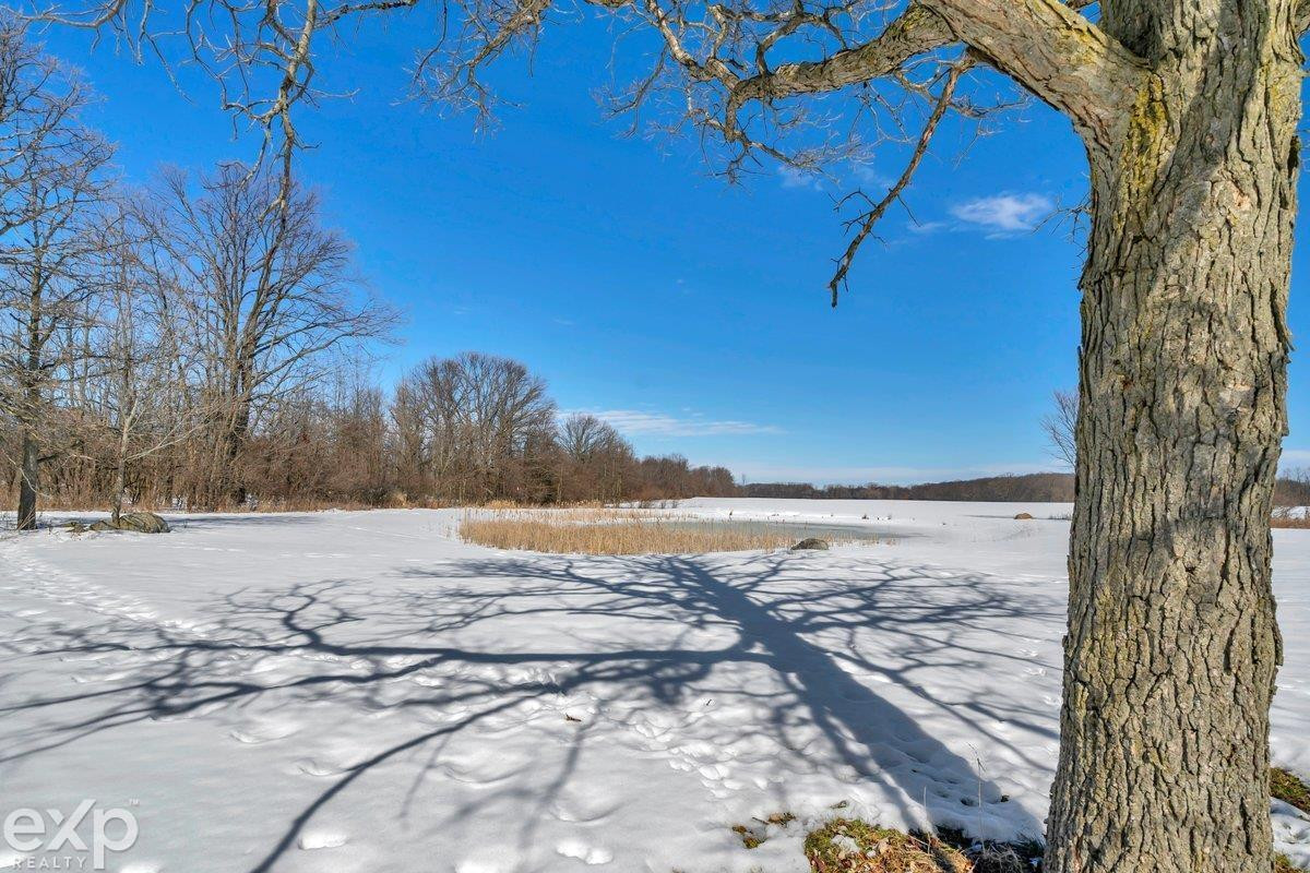 14330 Jeddo Rd Road, Yale, MI 48097 — Photo 42
