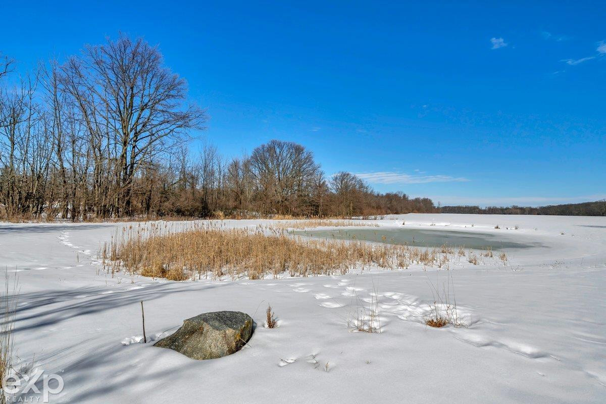 14330 Jeddo Rd Road, Yale, MI 48097 — Photo 44